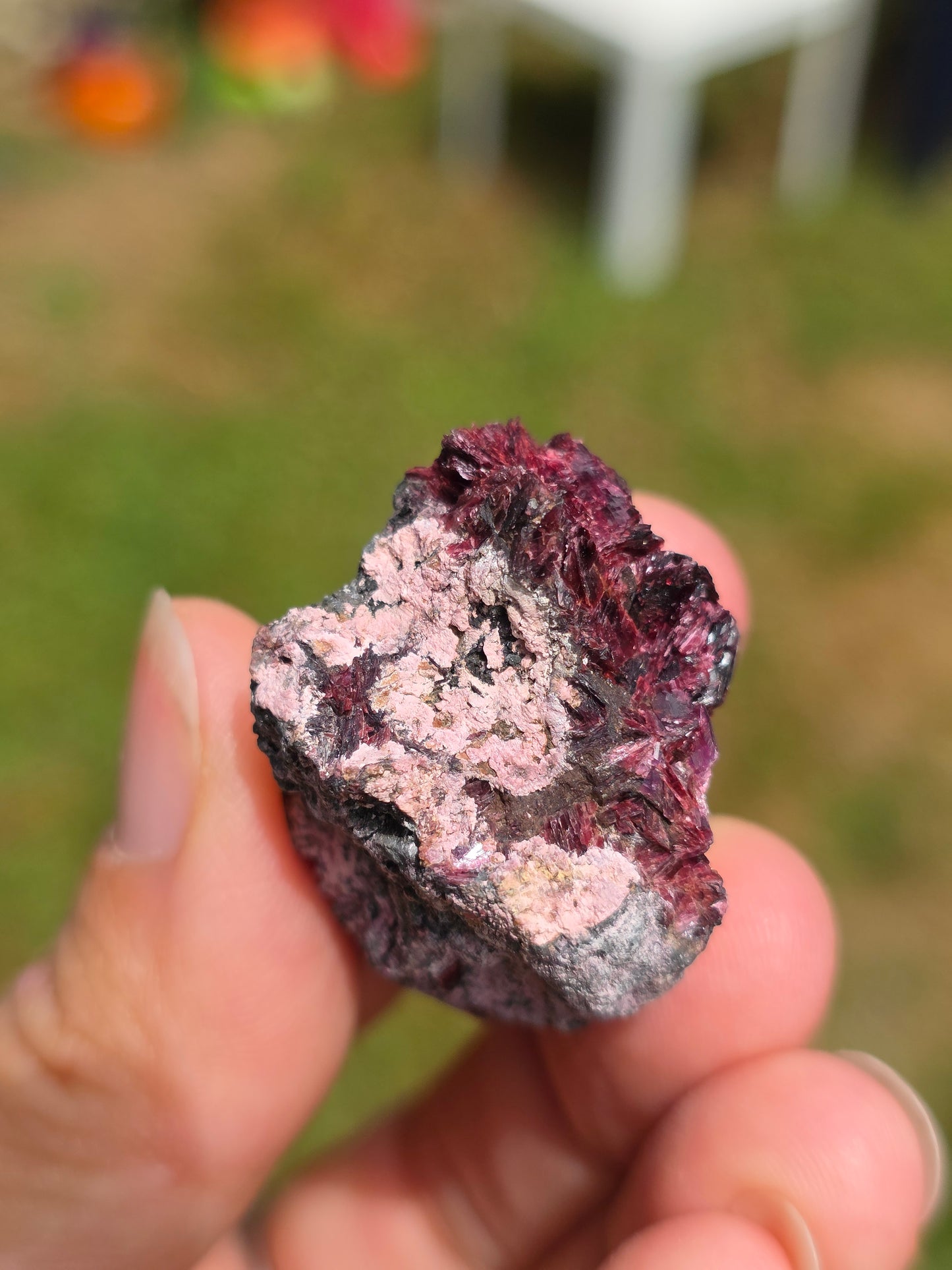 Erythrite du Maroc n°7