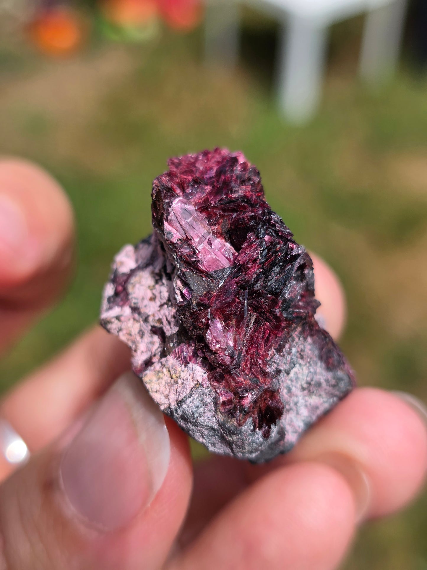 Erythrite du Maroc n°7