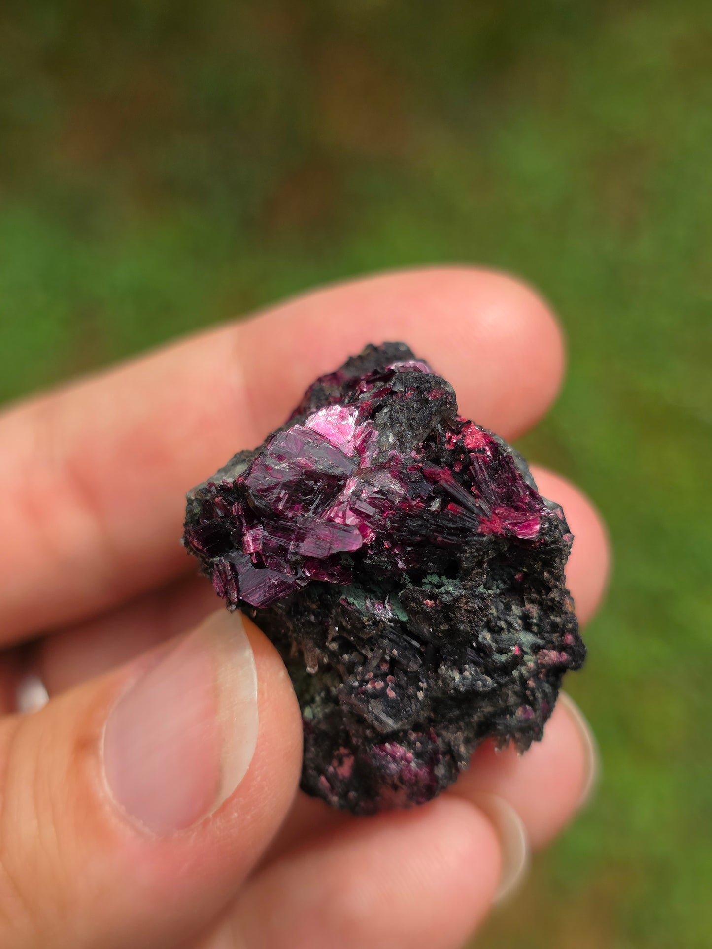Erythrite du Maroc n°12