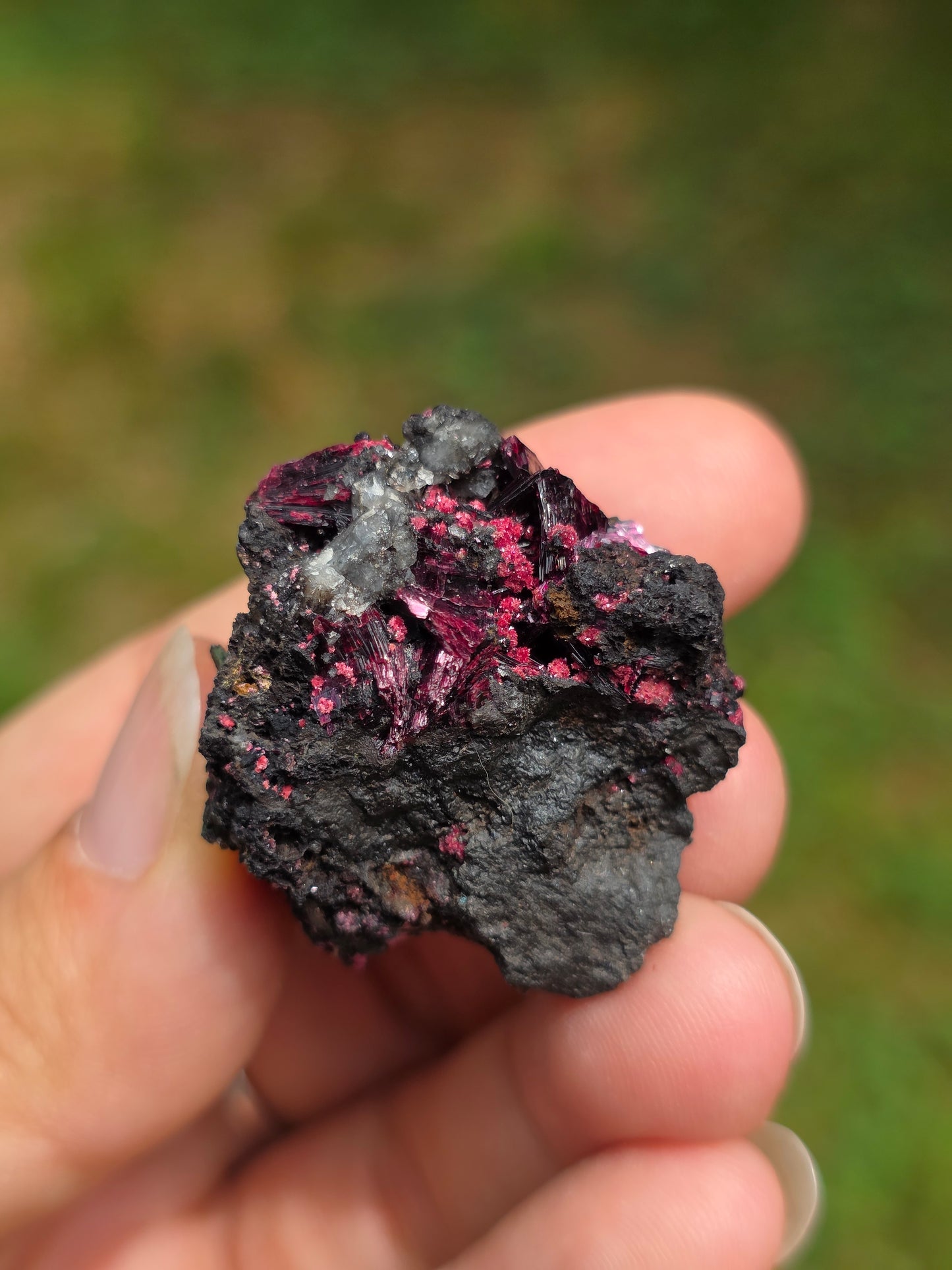 Erythrite du Maroc n°12