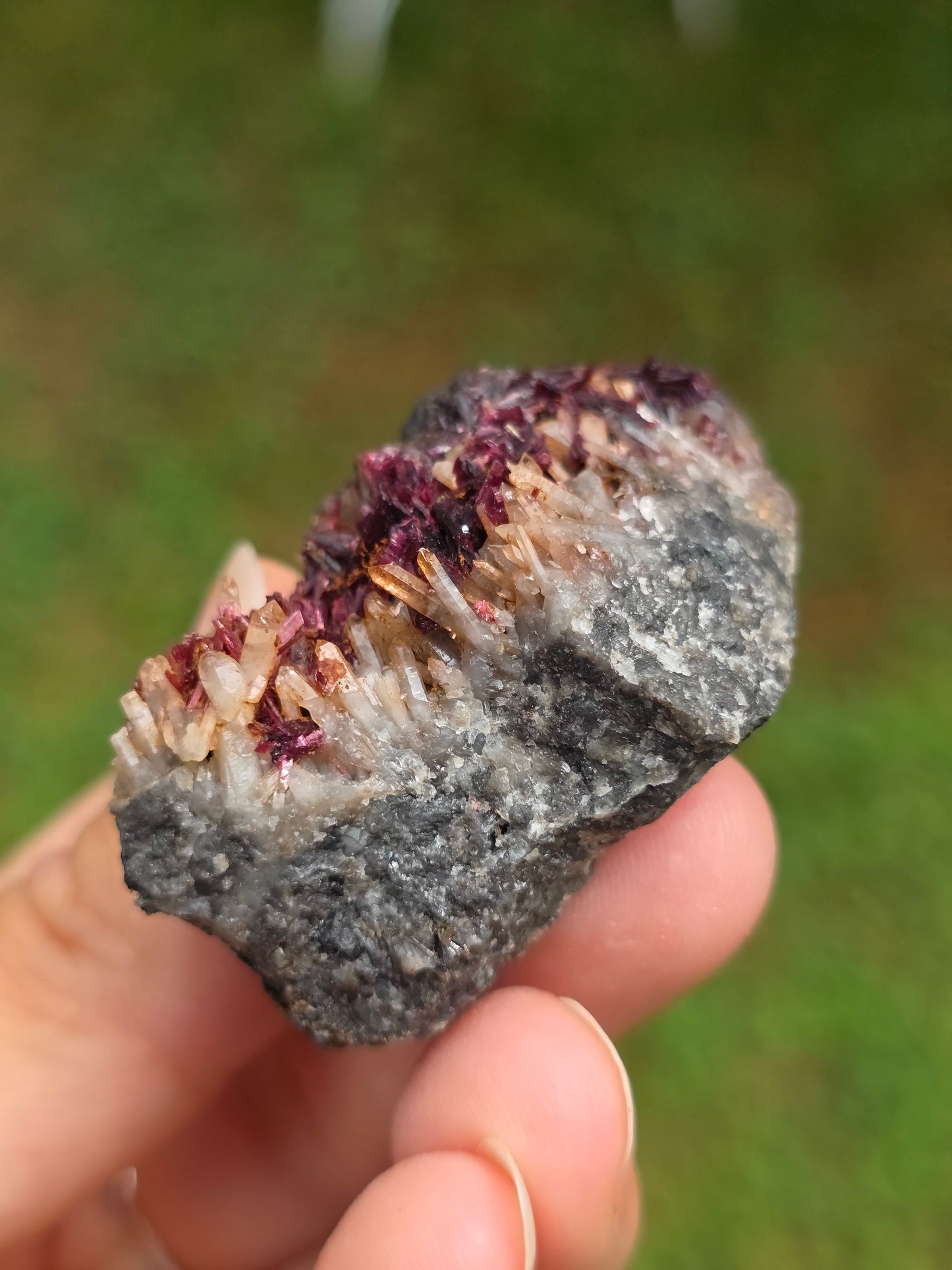 Erythrite du Maroc n°14