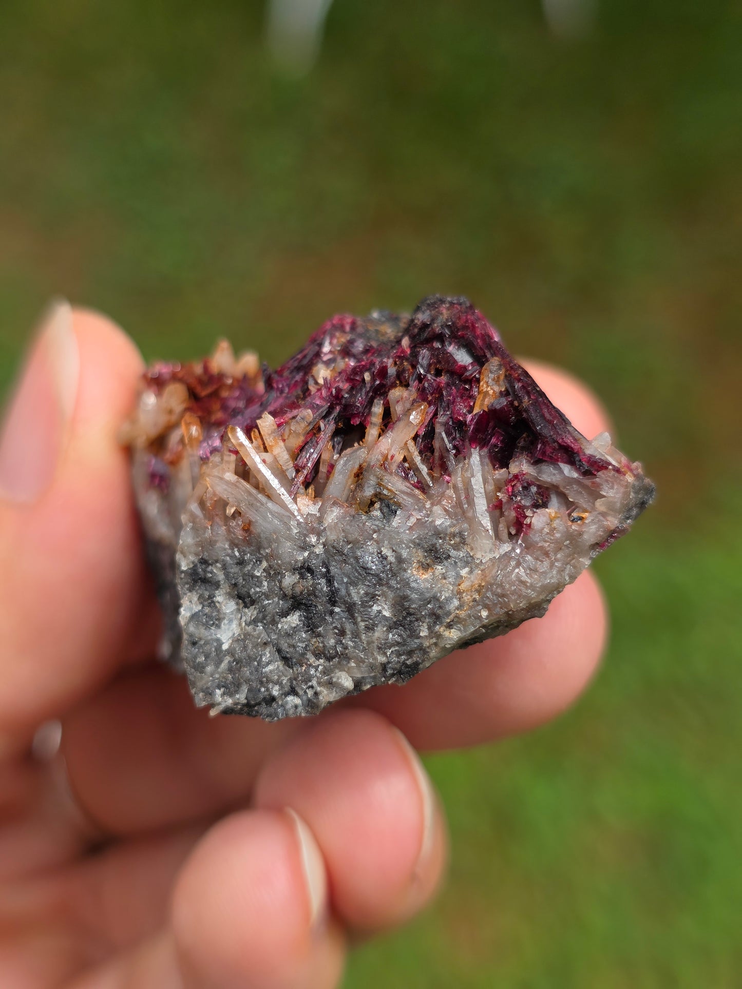 Erythrite du Maroc n°14