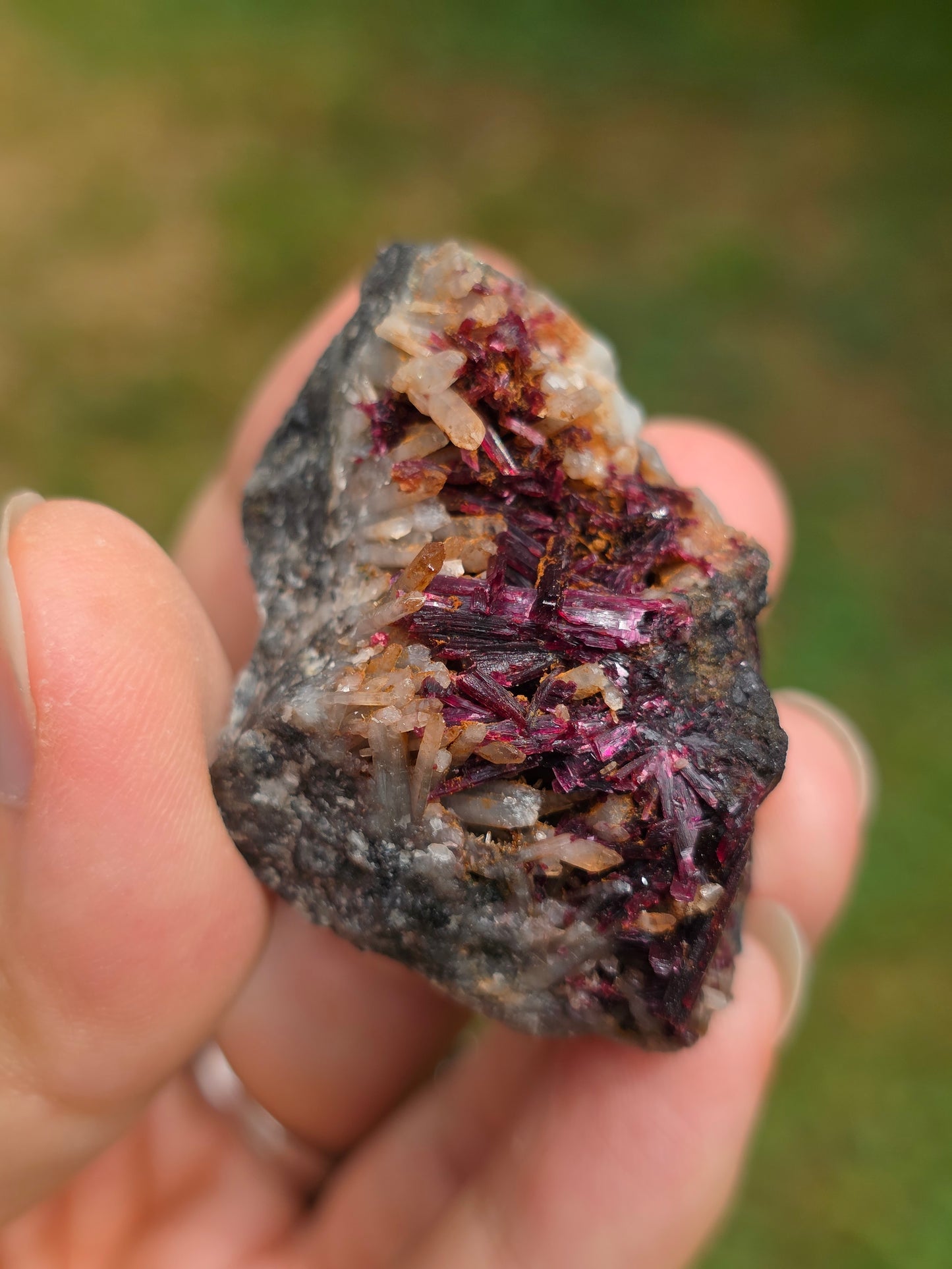 Erythrite du Maroc n°14