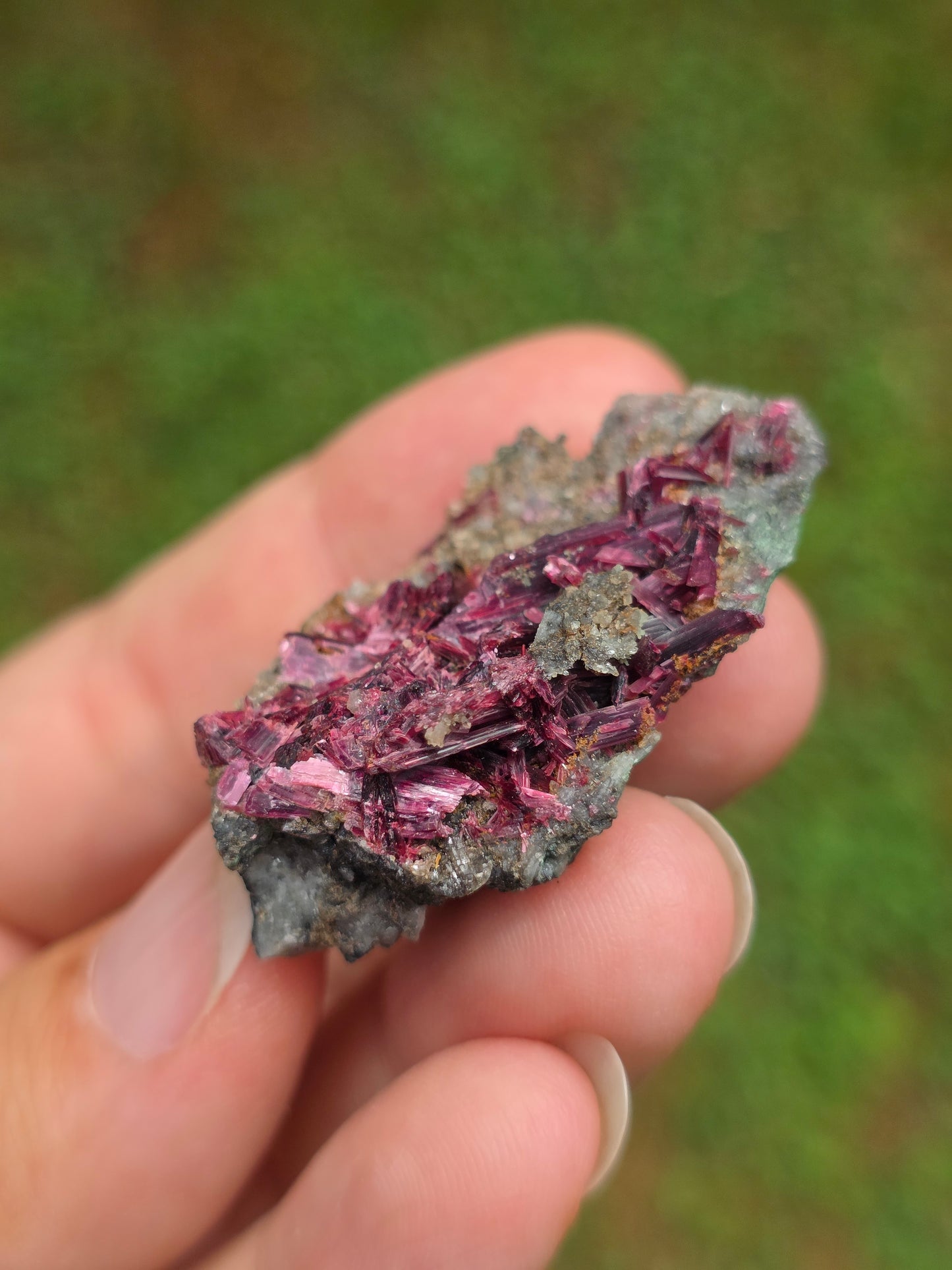 Erythrite du Maroc n°18