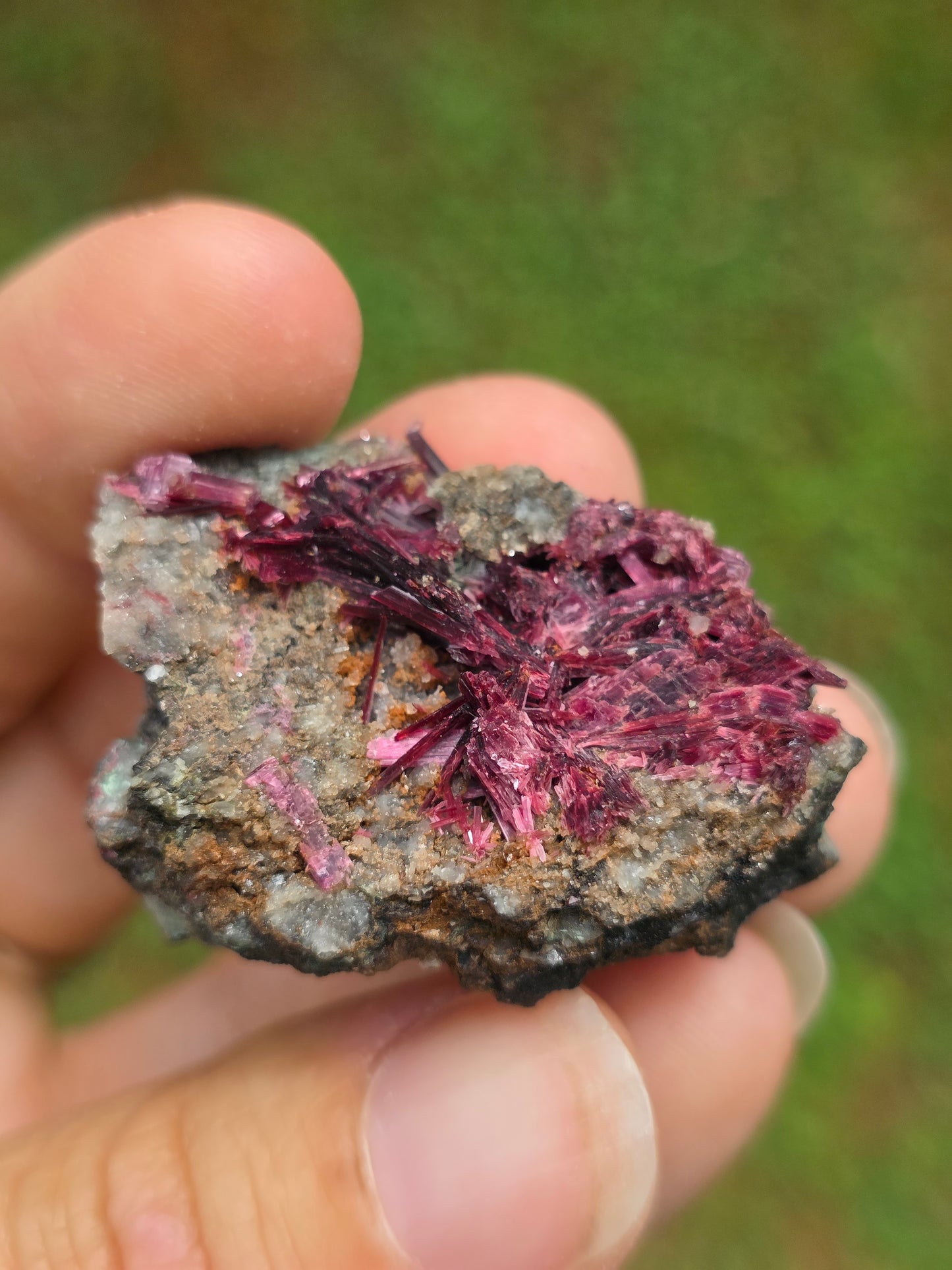 Erythrite du Maroc n°18