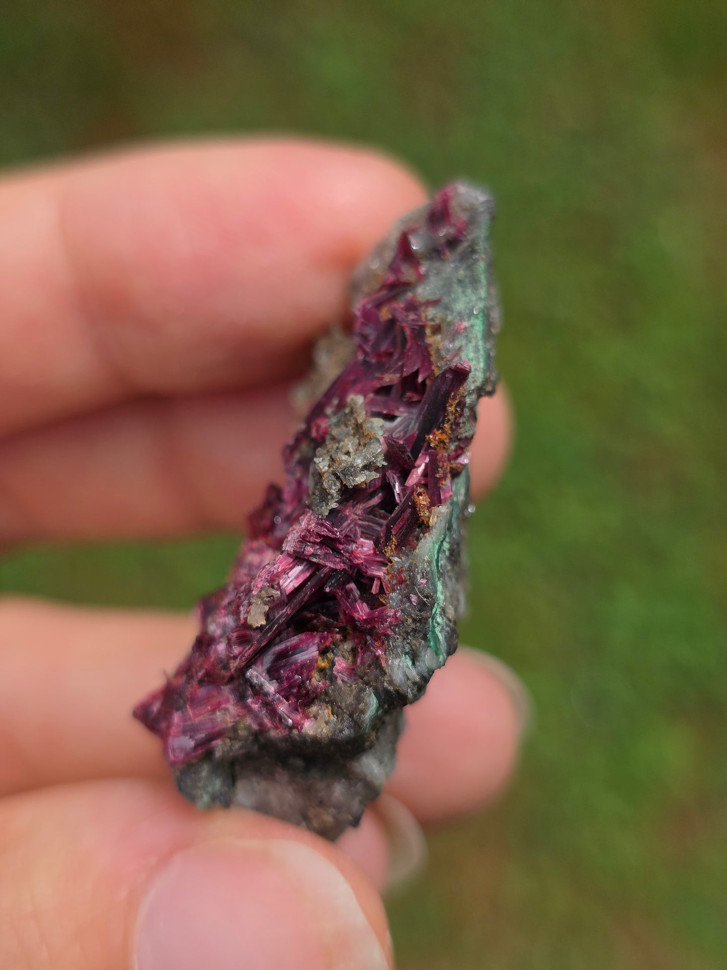 Erythrite du Maroc n°18