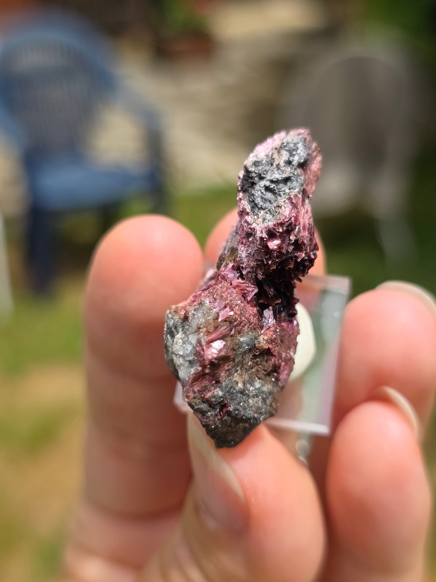 Erythrite du Maroc n°22