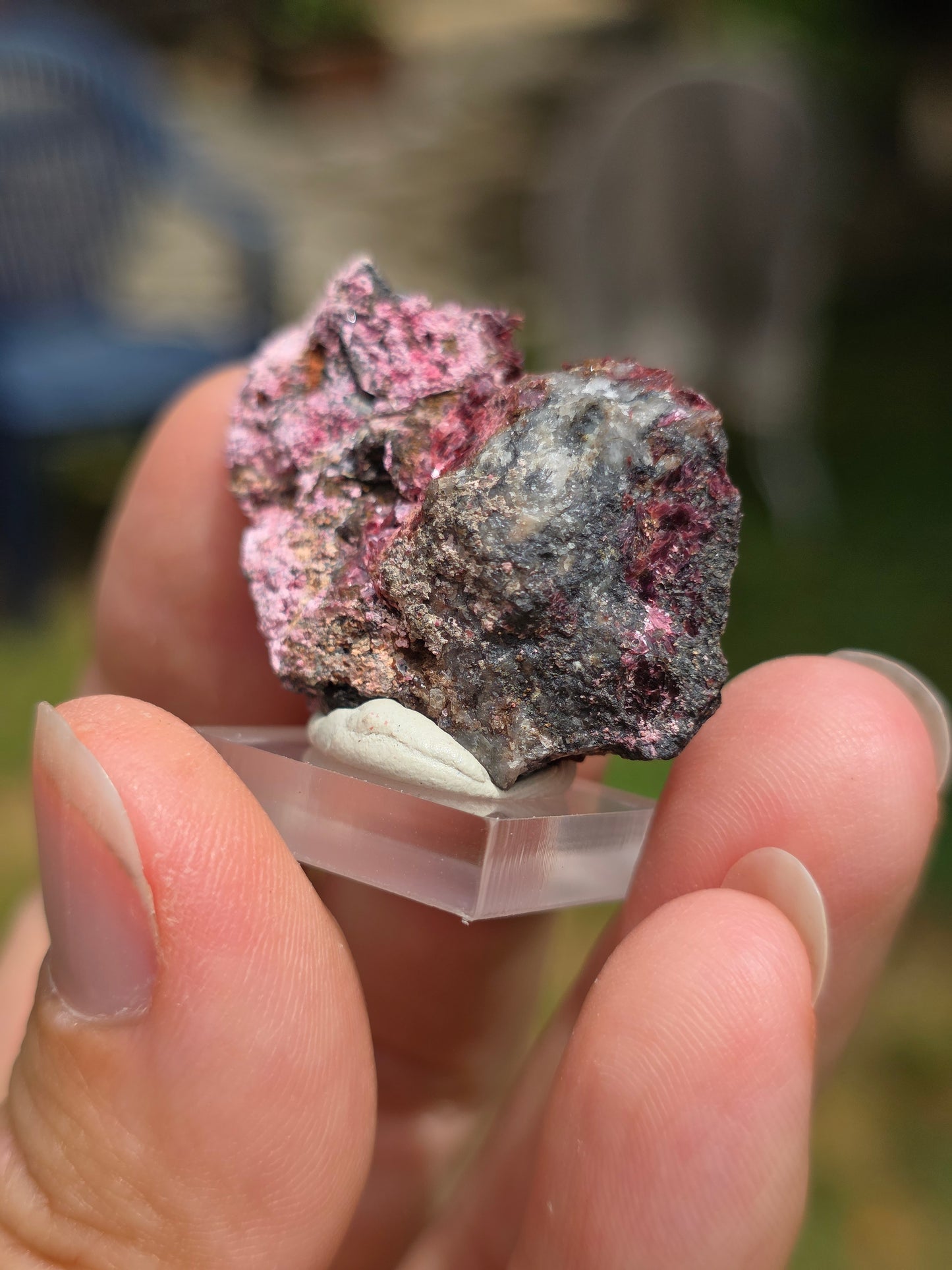 Erythrite du Maroc n°22