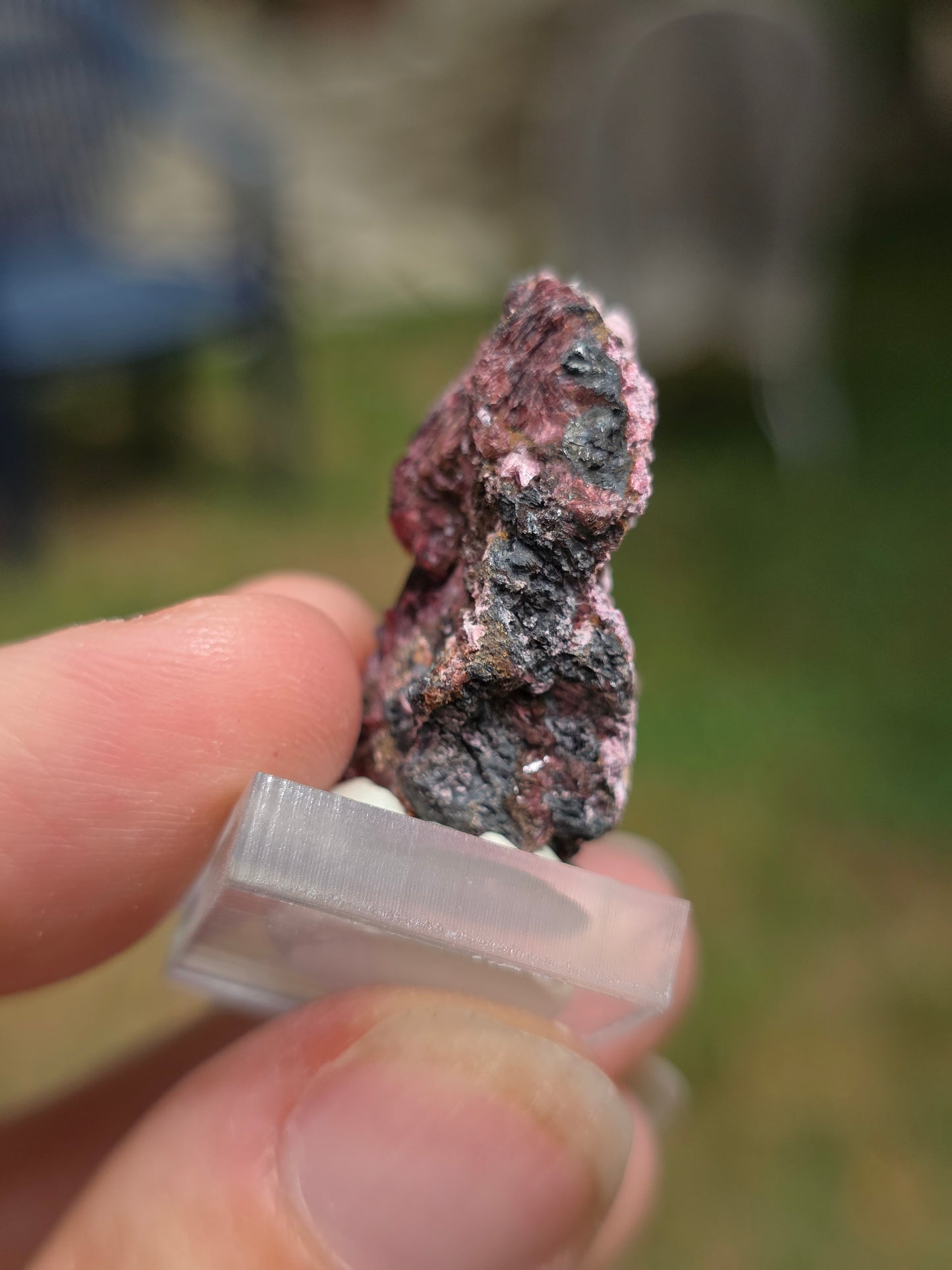 Erythrite du Maroc n°22