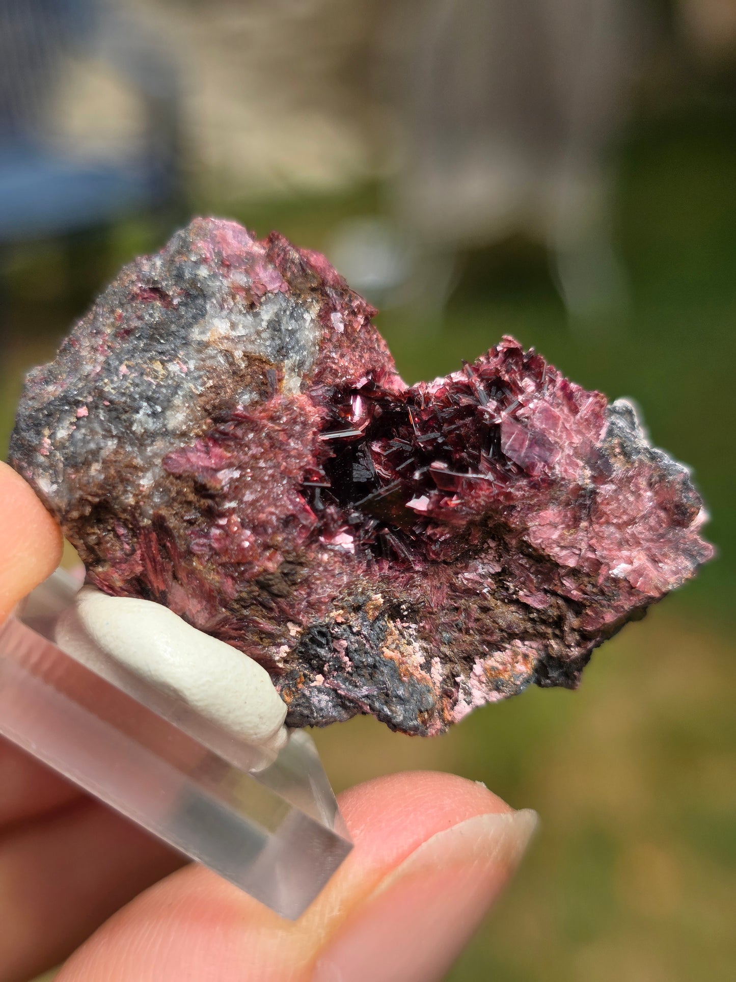 Erythrite du Maroc n°22