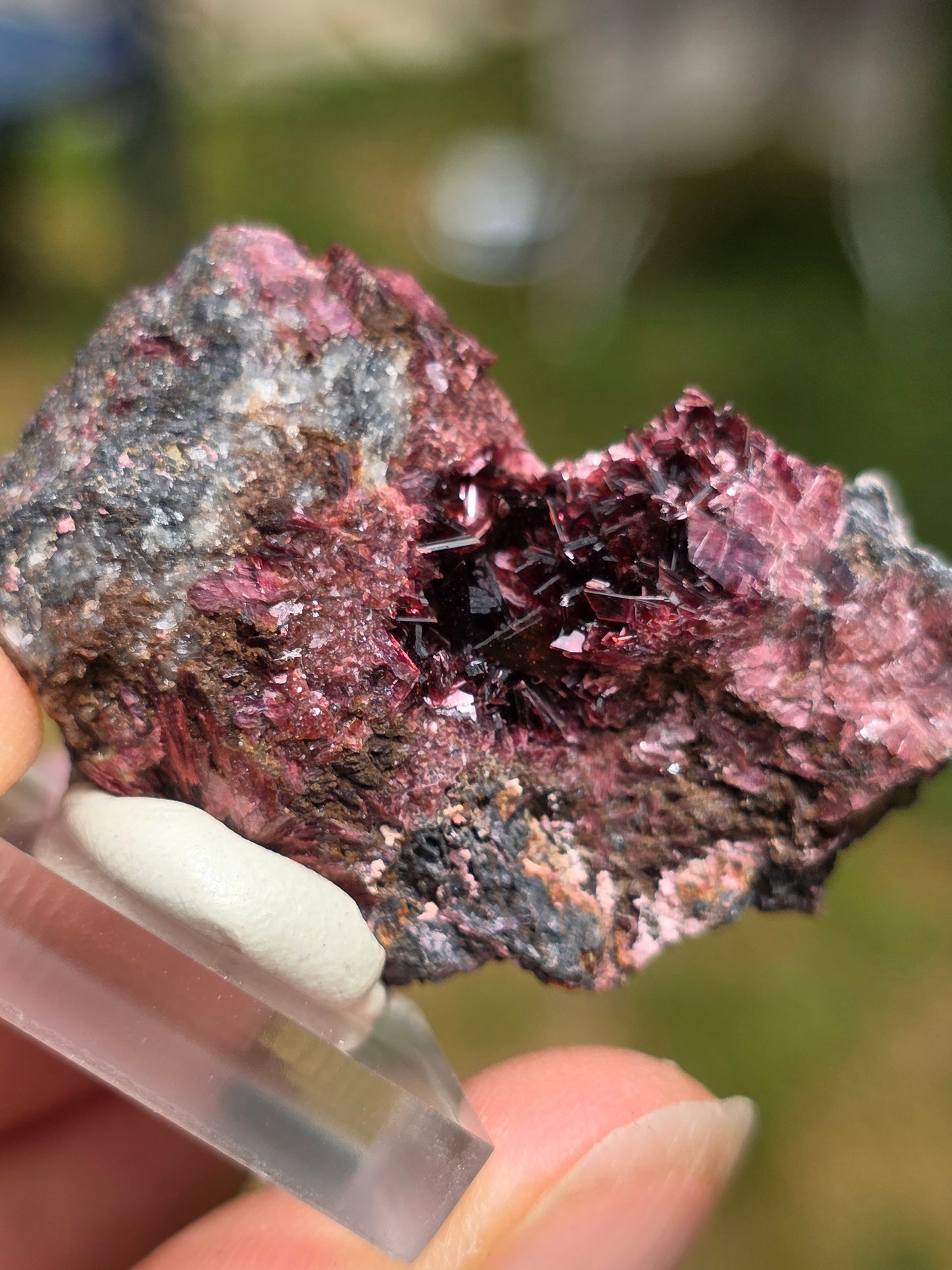 Erythrite du Maroc n°22