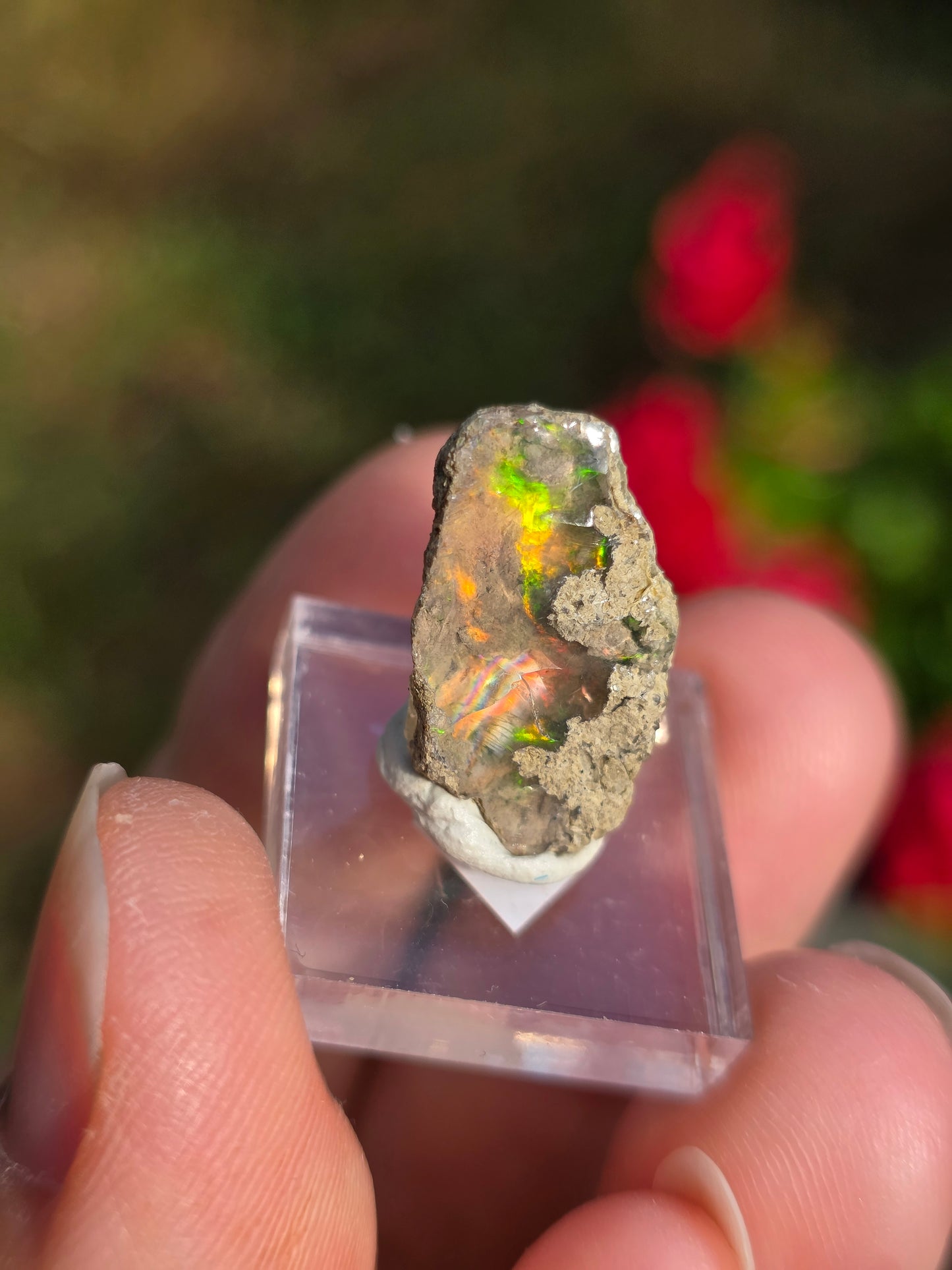 Opale noble d'Ethiopie brute partie 1 (à choisir)