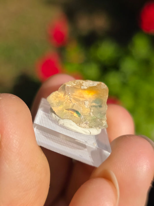 Opale noble d'Ethiopie brute partie 2 (à choisir)