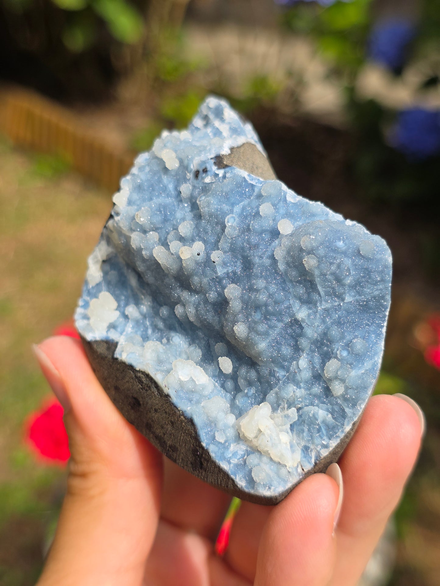 Calcédoine bleue avec Apophyllite n°13