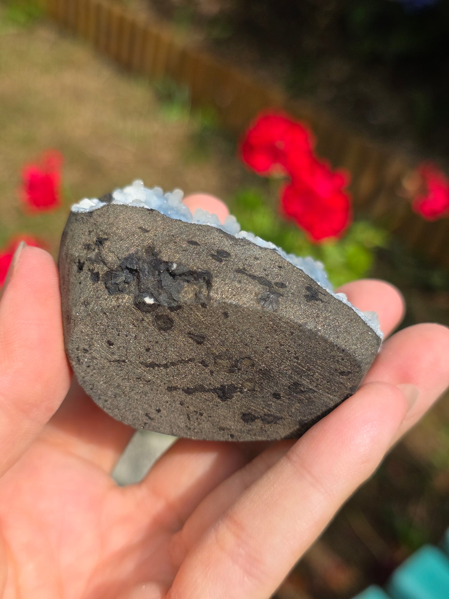 Calcédoine bleue avec Apophyllite n°13