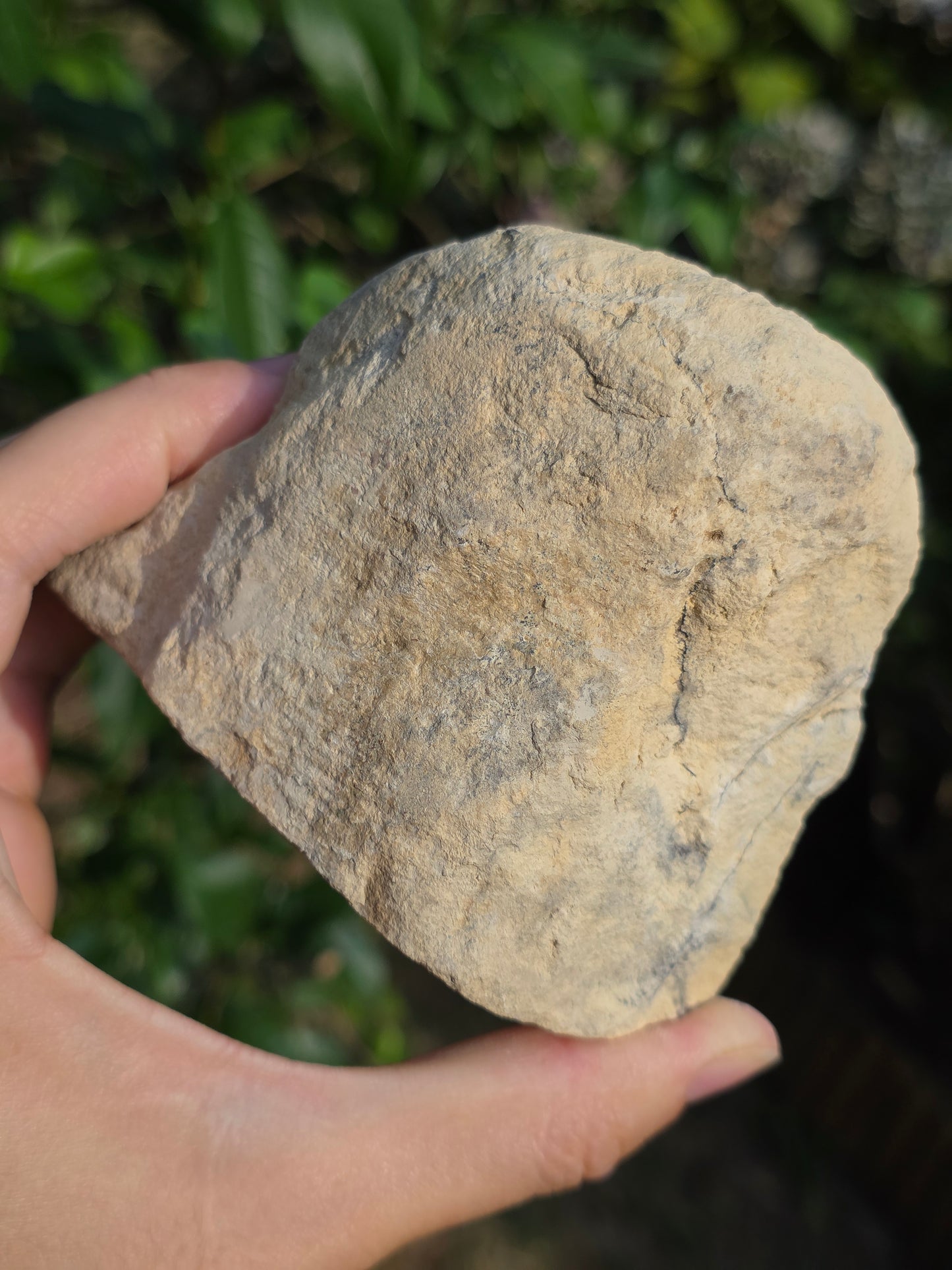 Calcédoine du Poitou n°1