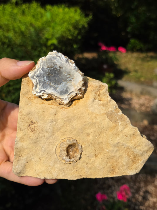 Calcédoine du Poitou n°3