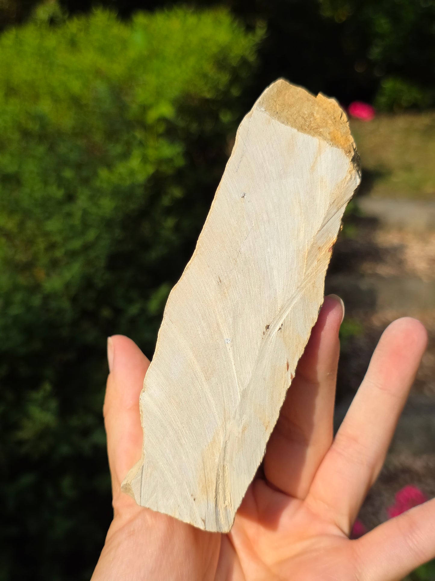 Calcédoine du Poitou n°3
