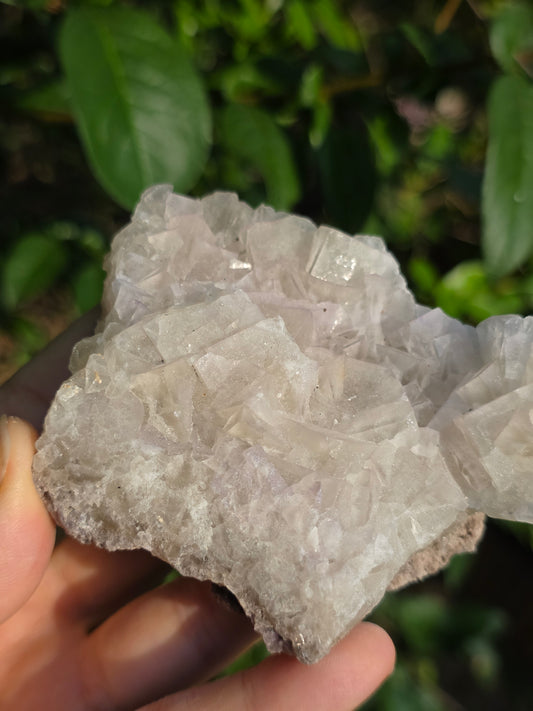 Fluorite des Pyrénées B