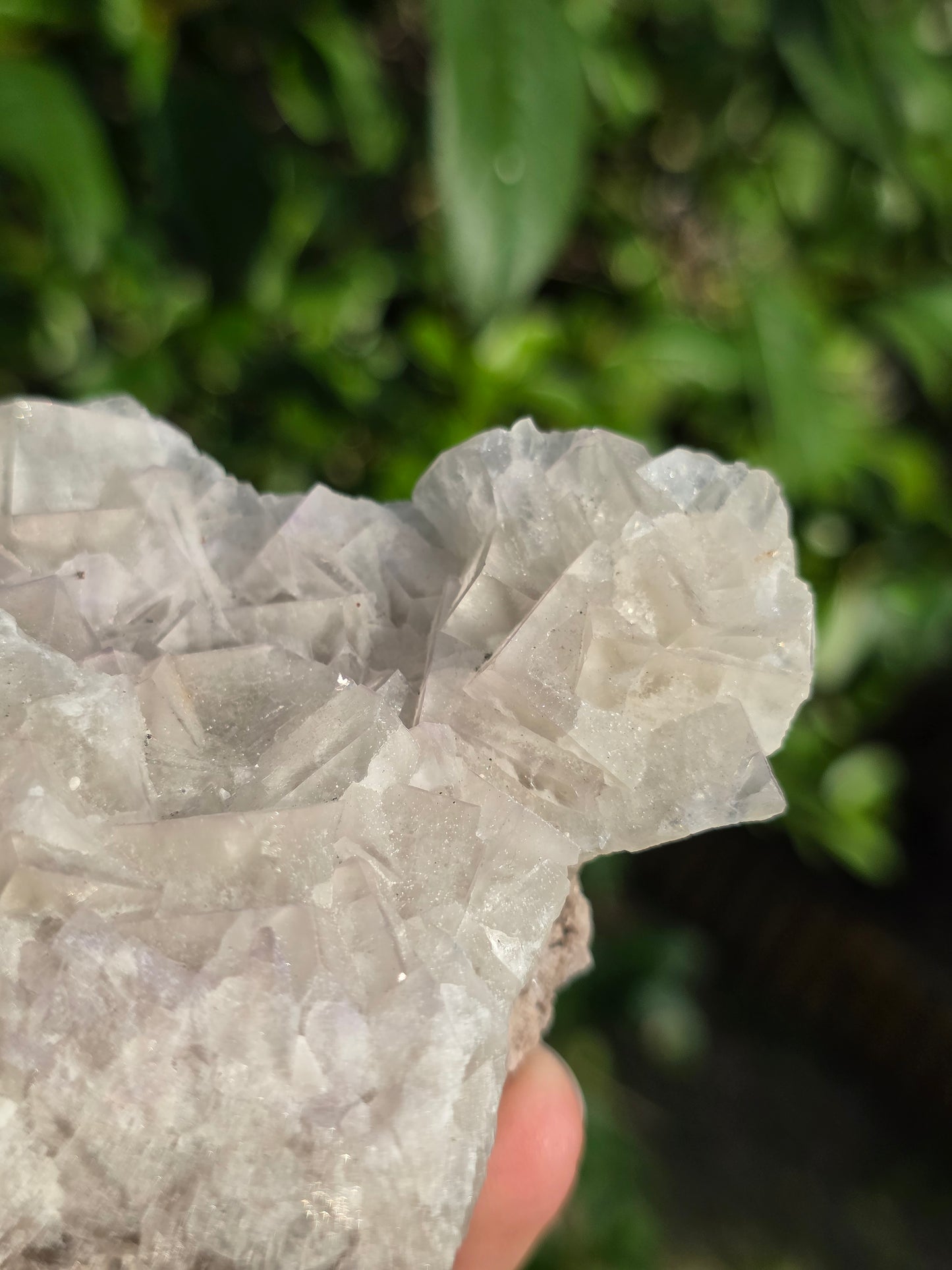 Fluorite des Pyrénées B