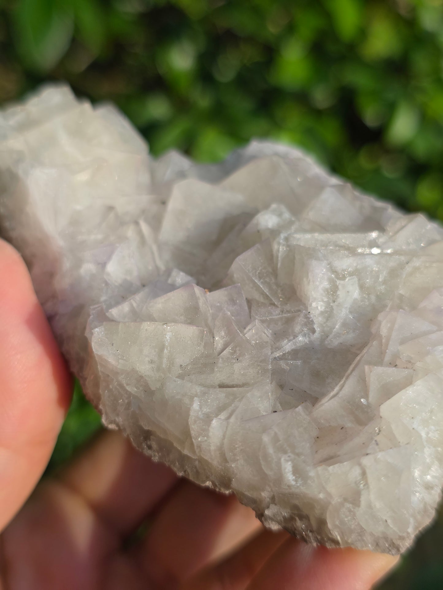 Fluorite des Pyrénées B