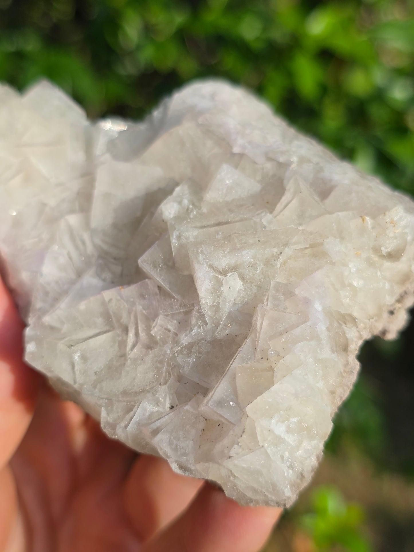 Fluorite des Pyrénées B
