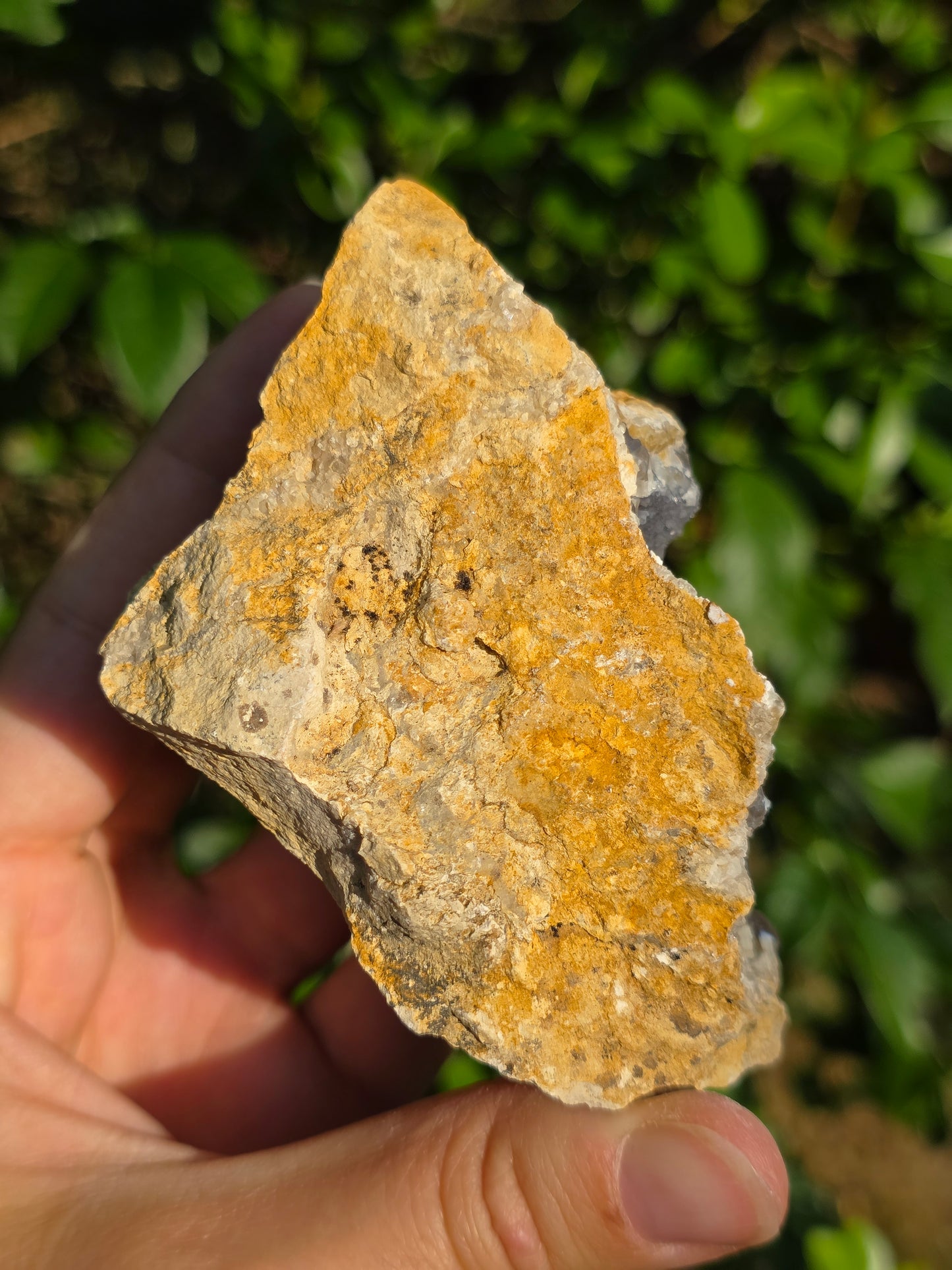 Calcédoine du Poitou n°4