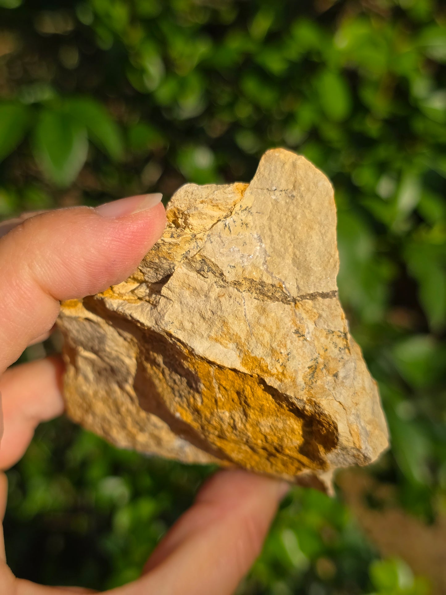 Calcédoine du Poitou n°4