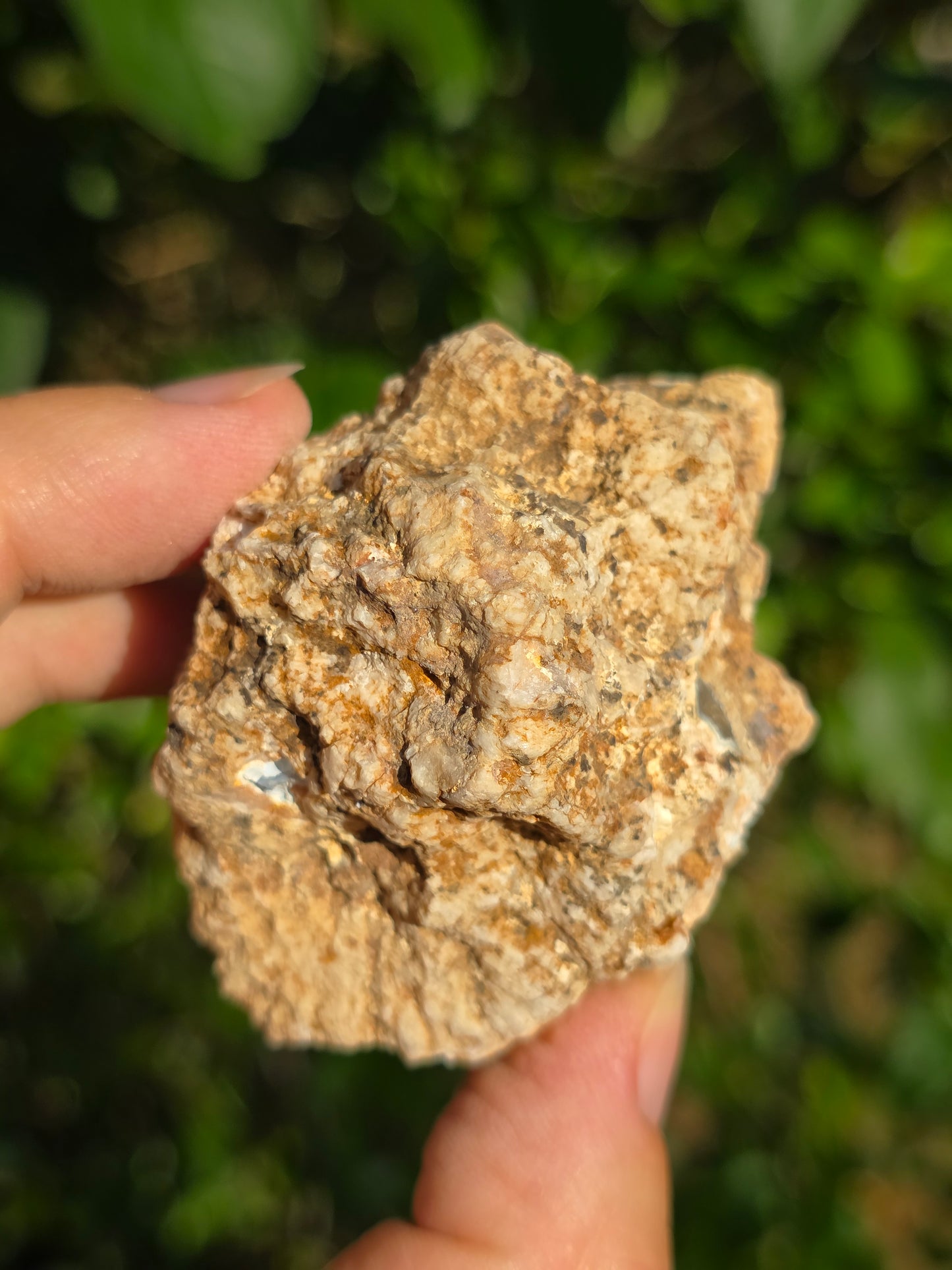 Calcédoine du Poitou n°5