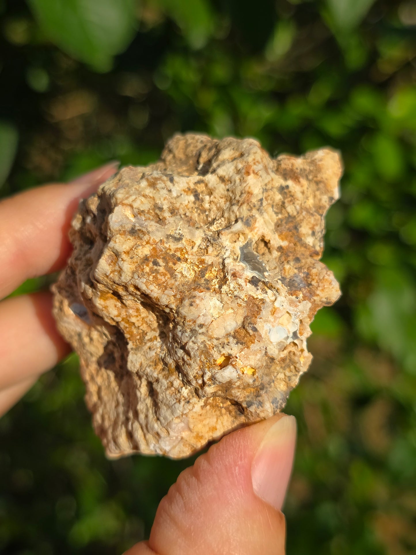 Calcédoine du Poitou n°5