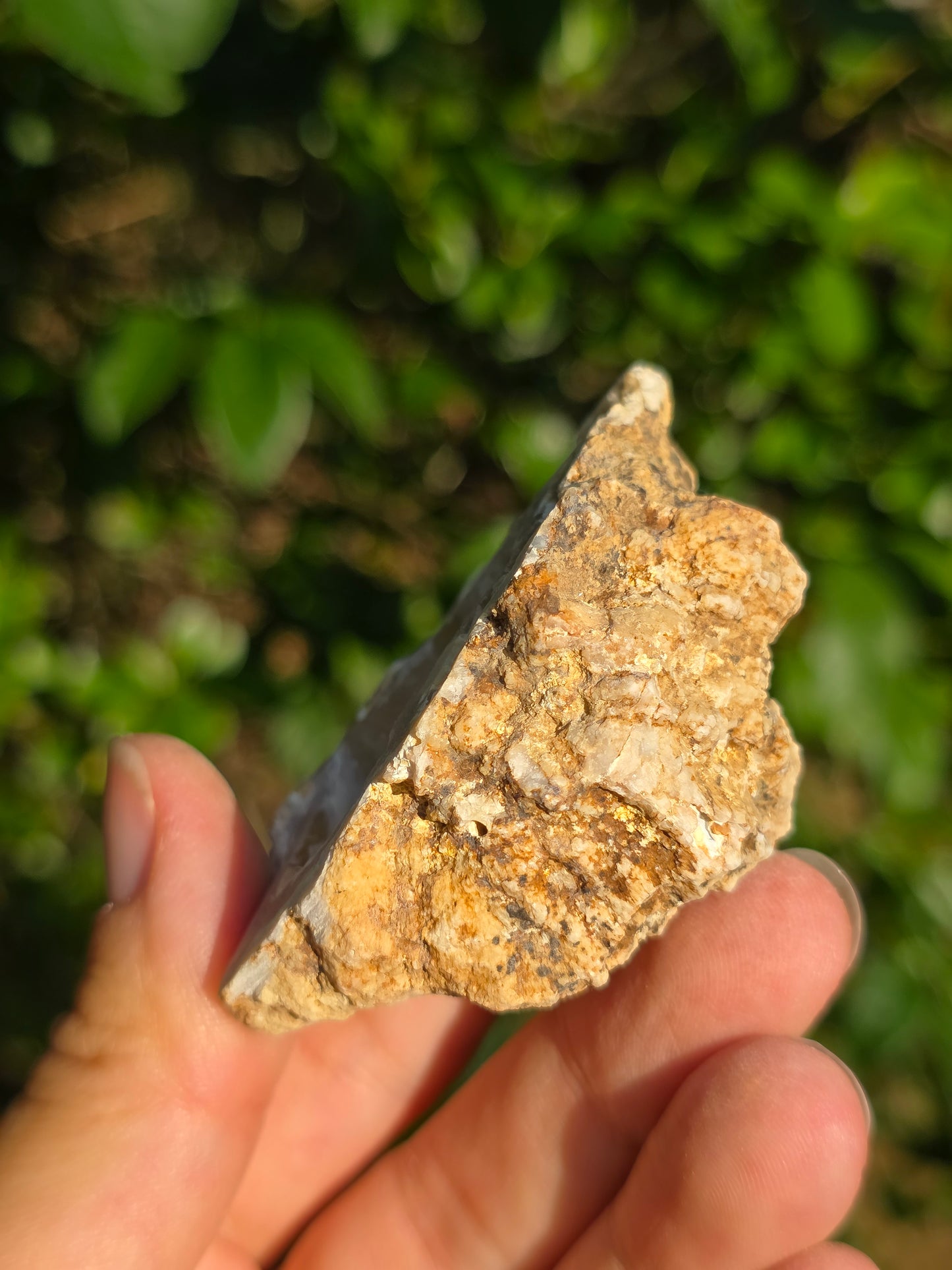 Calcédoine du Poitou n°5