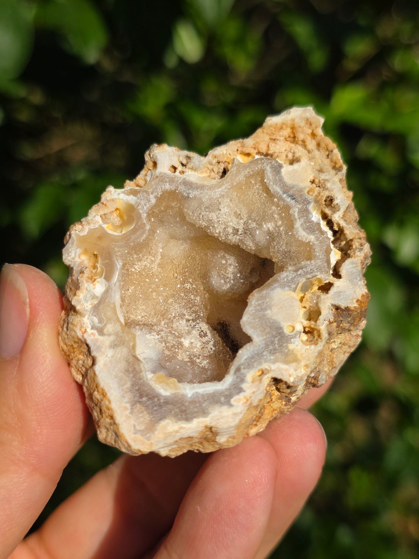 Calcédoine du Poitou n°5