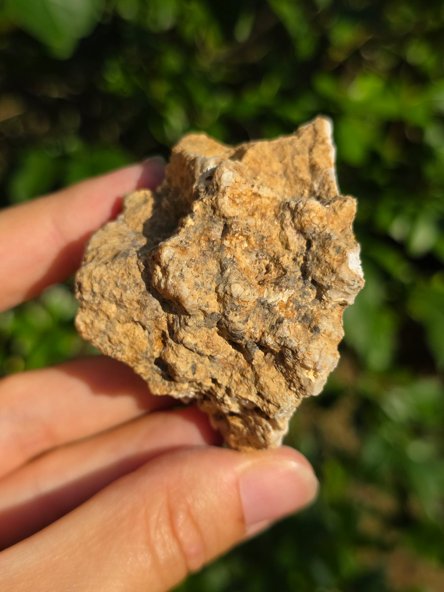 Calcédoine du Poitou n°7