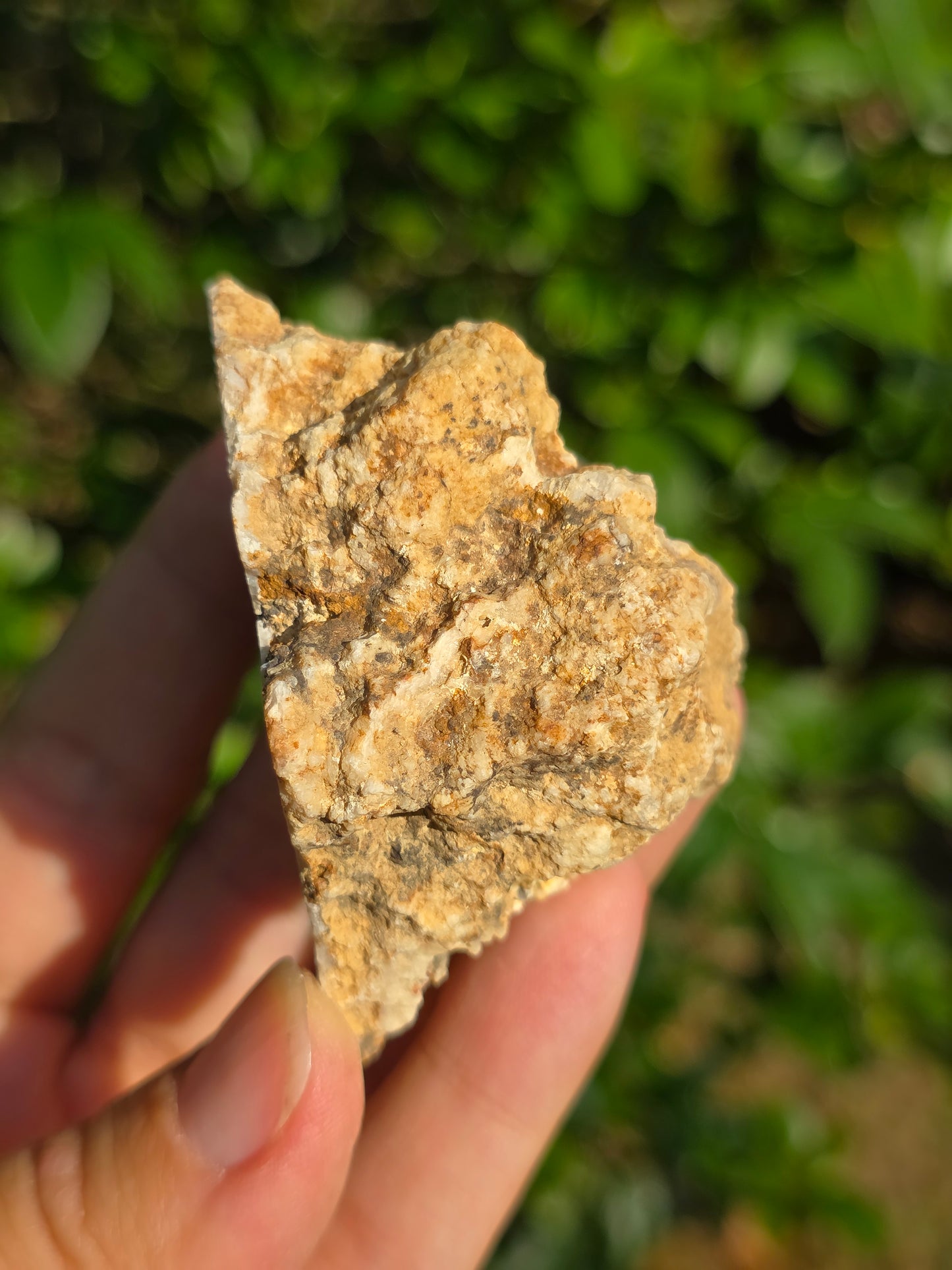 Calcédoine du Poitou n°7
