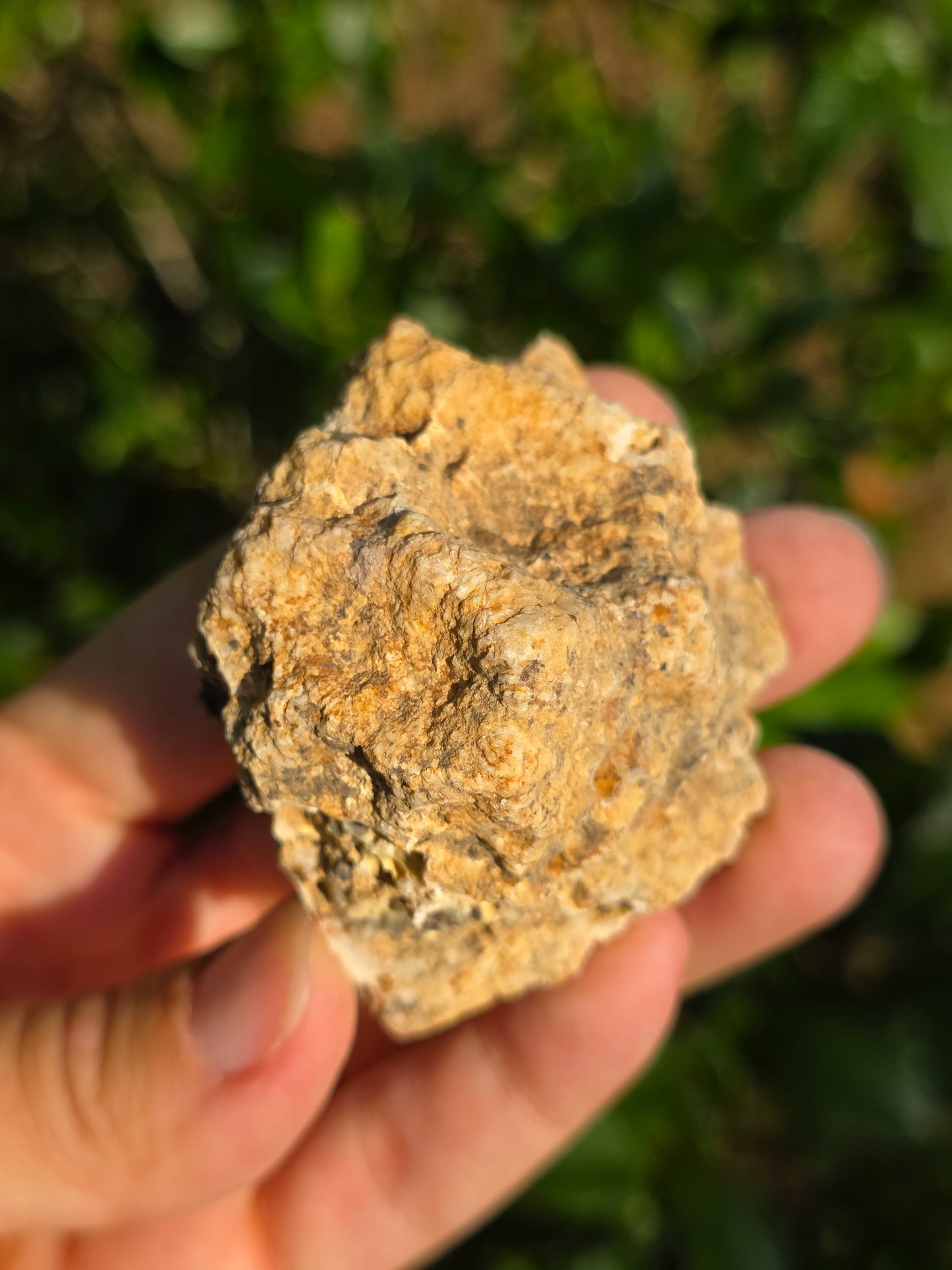 Calcédoine du Poitou n°7