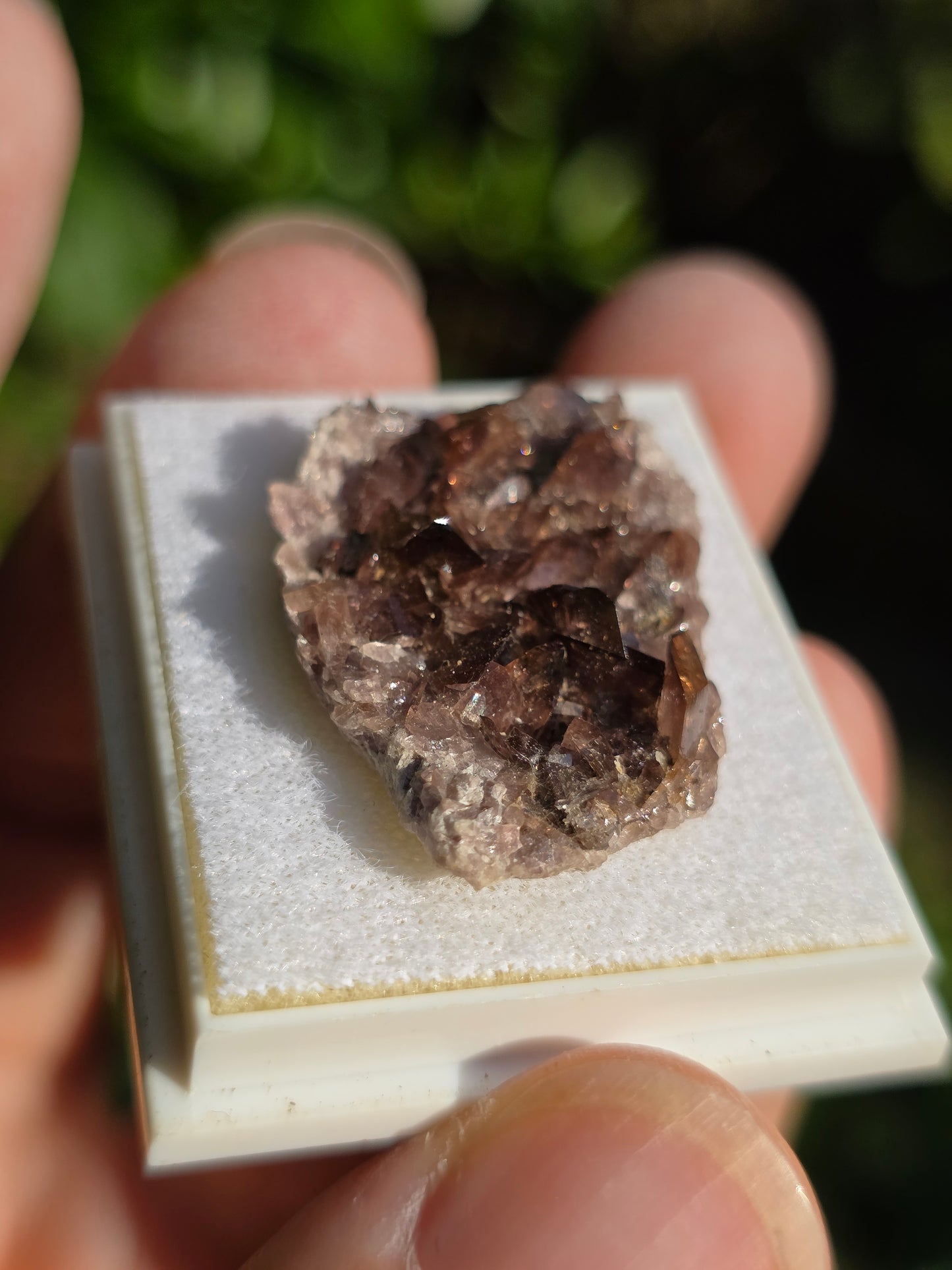 Axinite de Barèges (65)