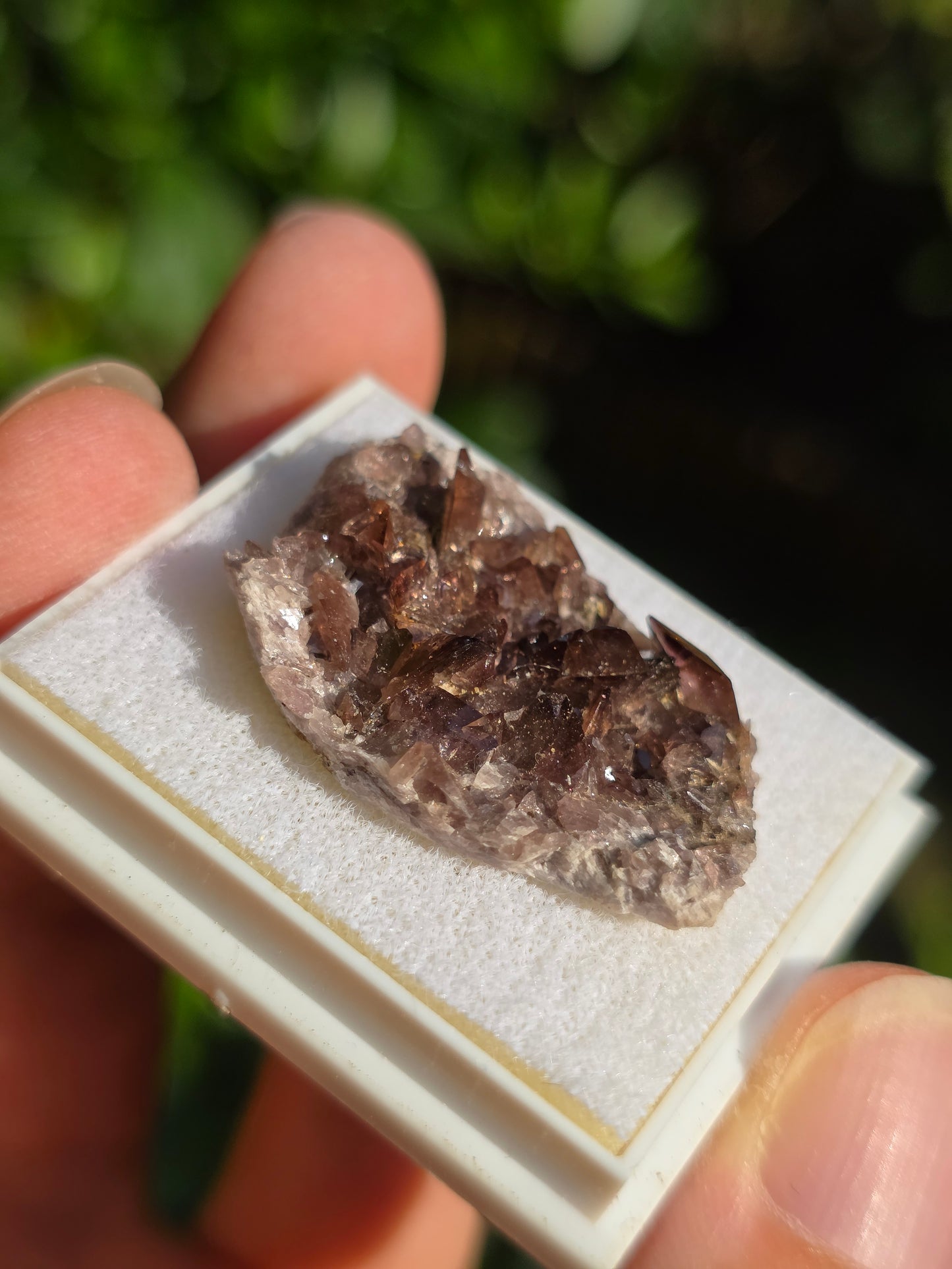 Axinite de Barèges (65)