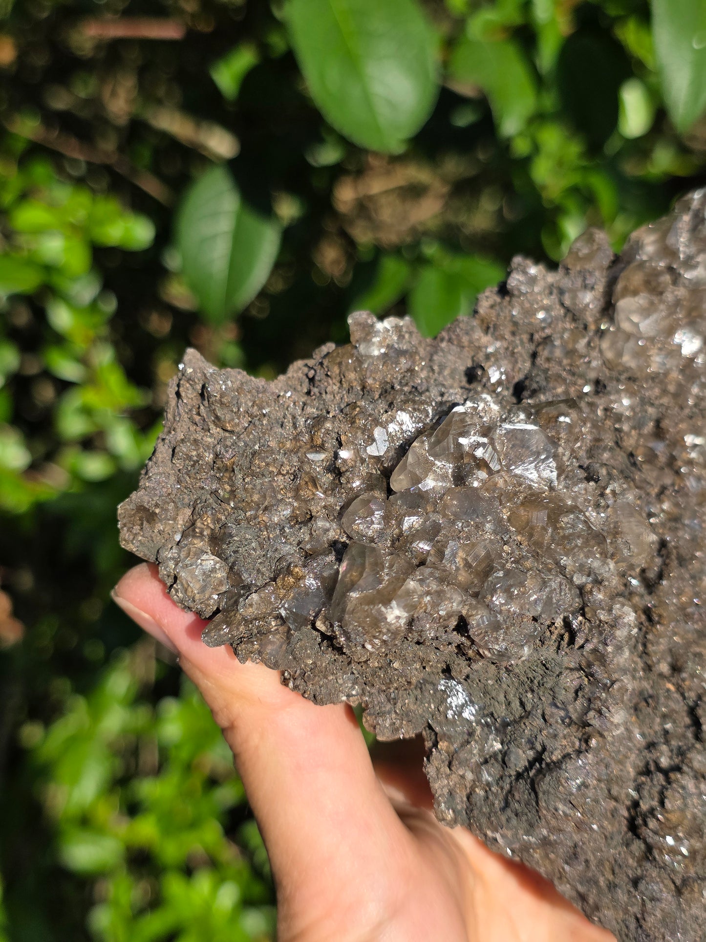 Chalcophanite de Carthagène