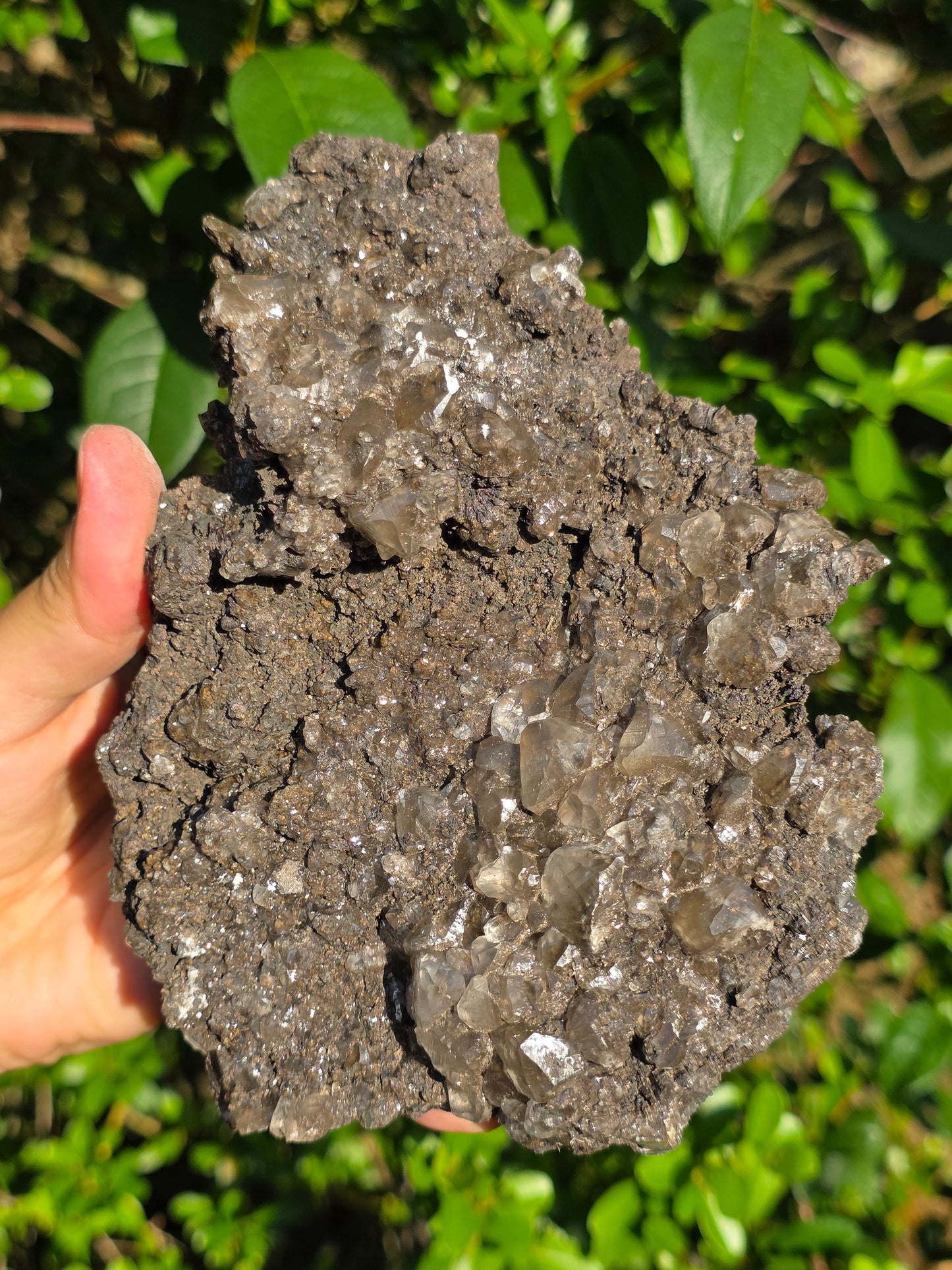 Chalcophanite de Carthagène