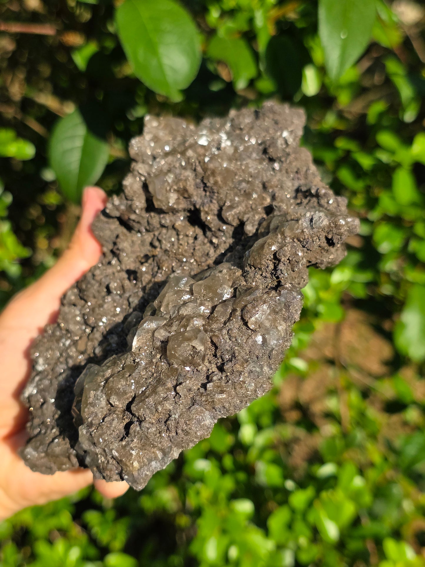 Chalcophanite de Carthagène