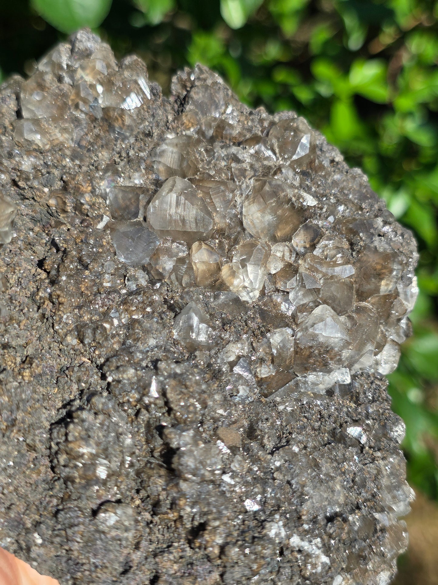 Chalcophanite de Carthagène