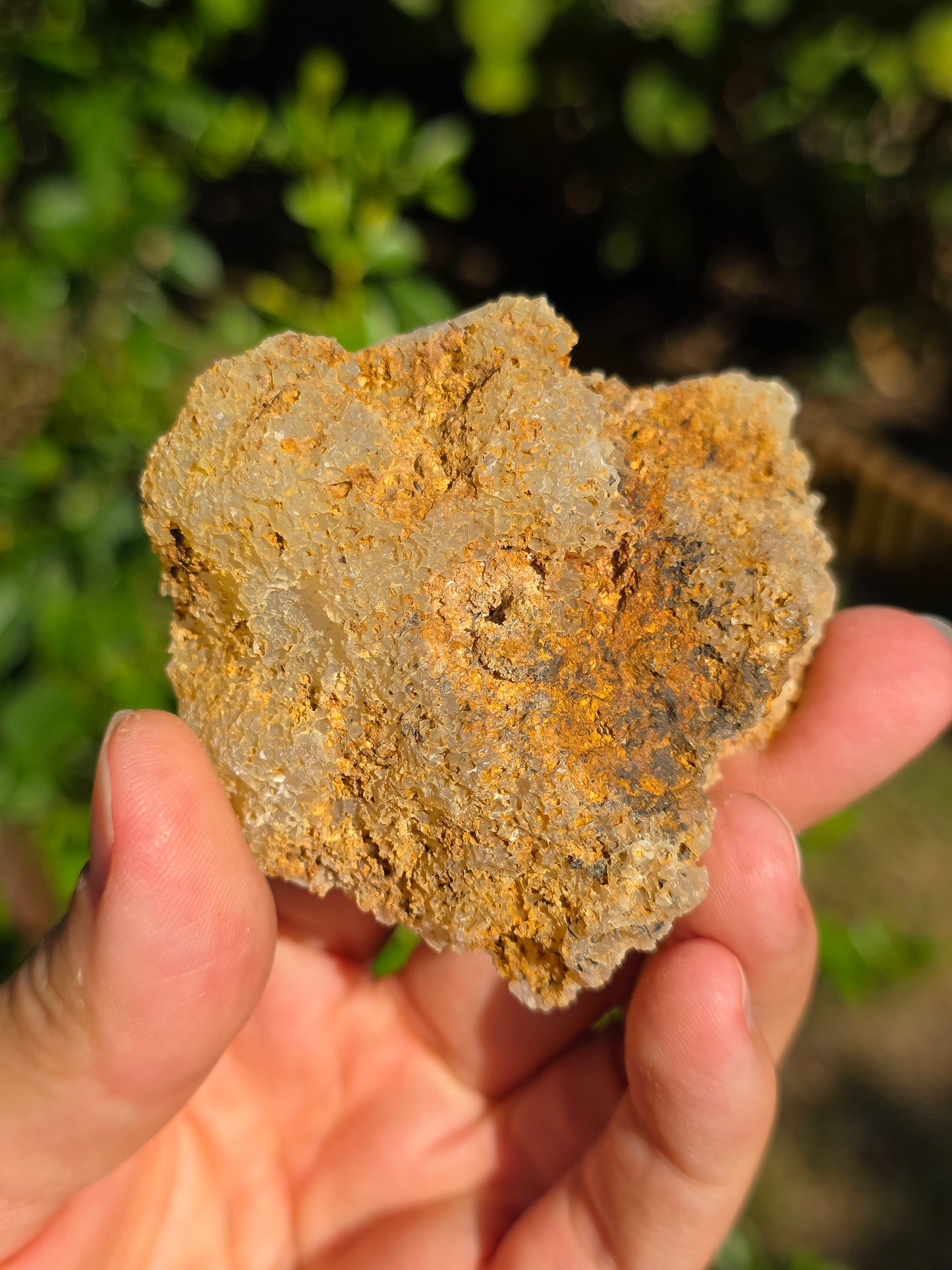 Calcédoine du Poitou n°9