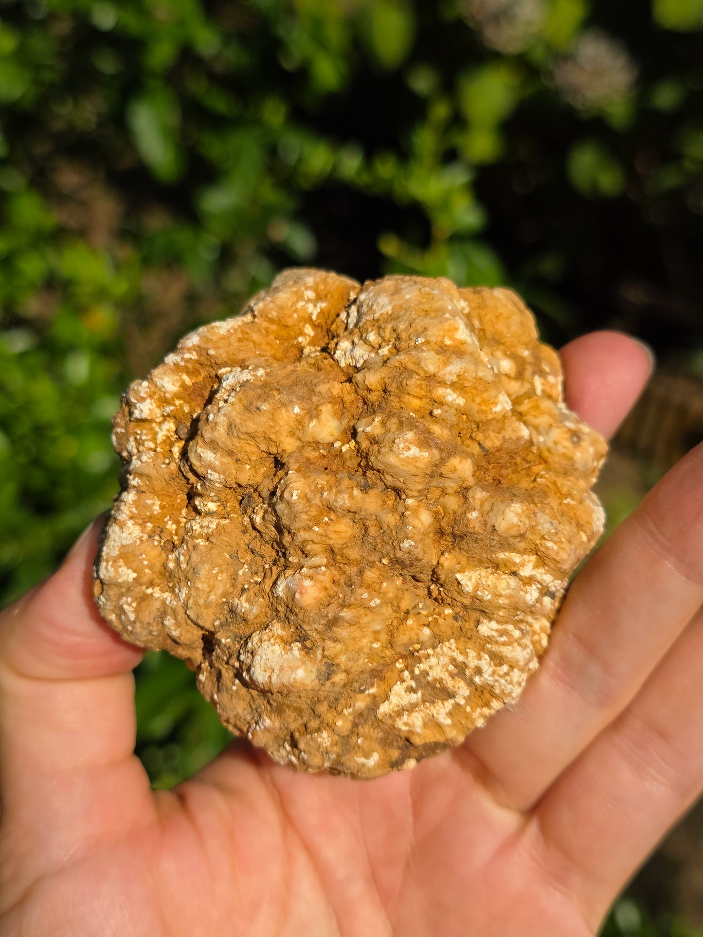 Calcédoine du Poitou n°11