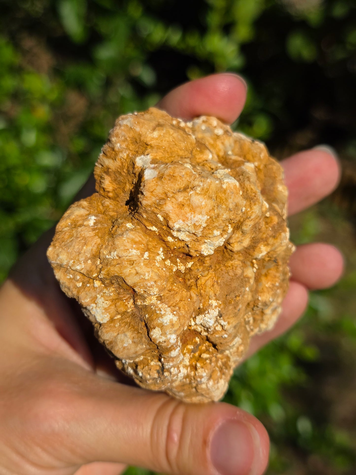Calcédoine du Poitou n°11