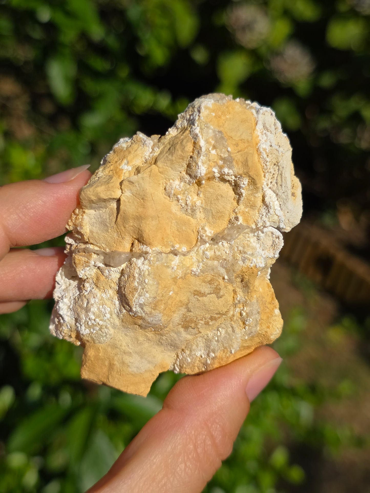 Calcédoine du Poitou n°13