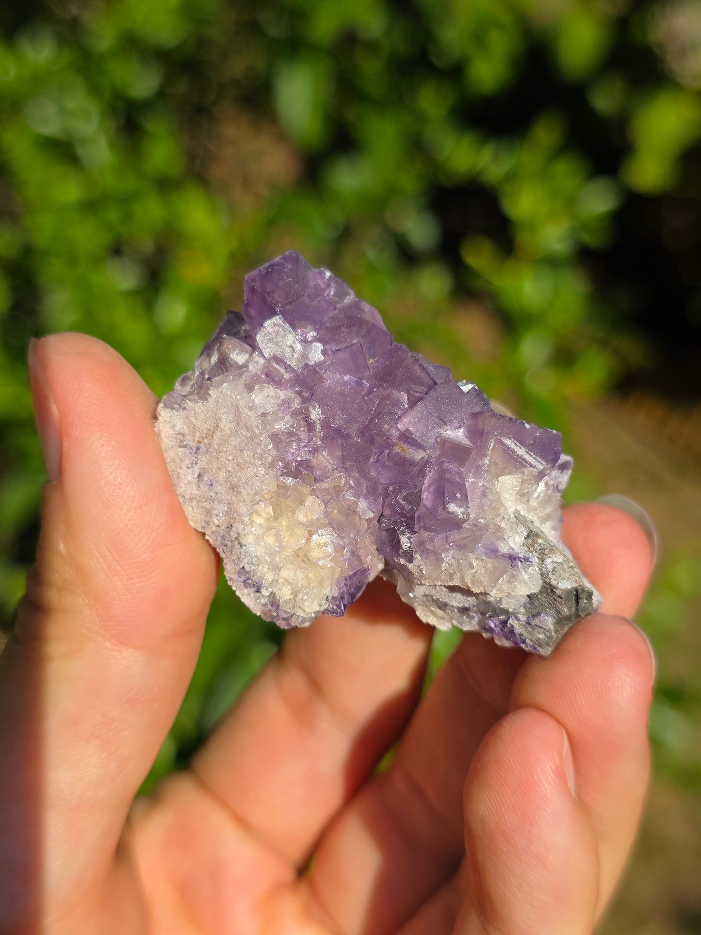 Fluorite des Pyrénées C