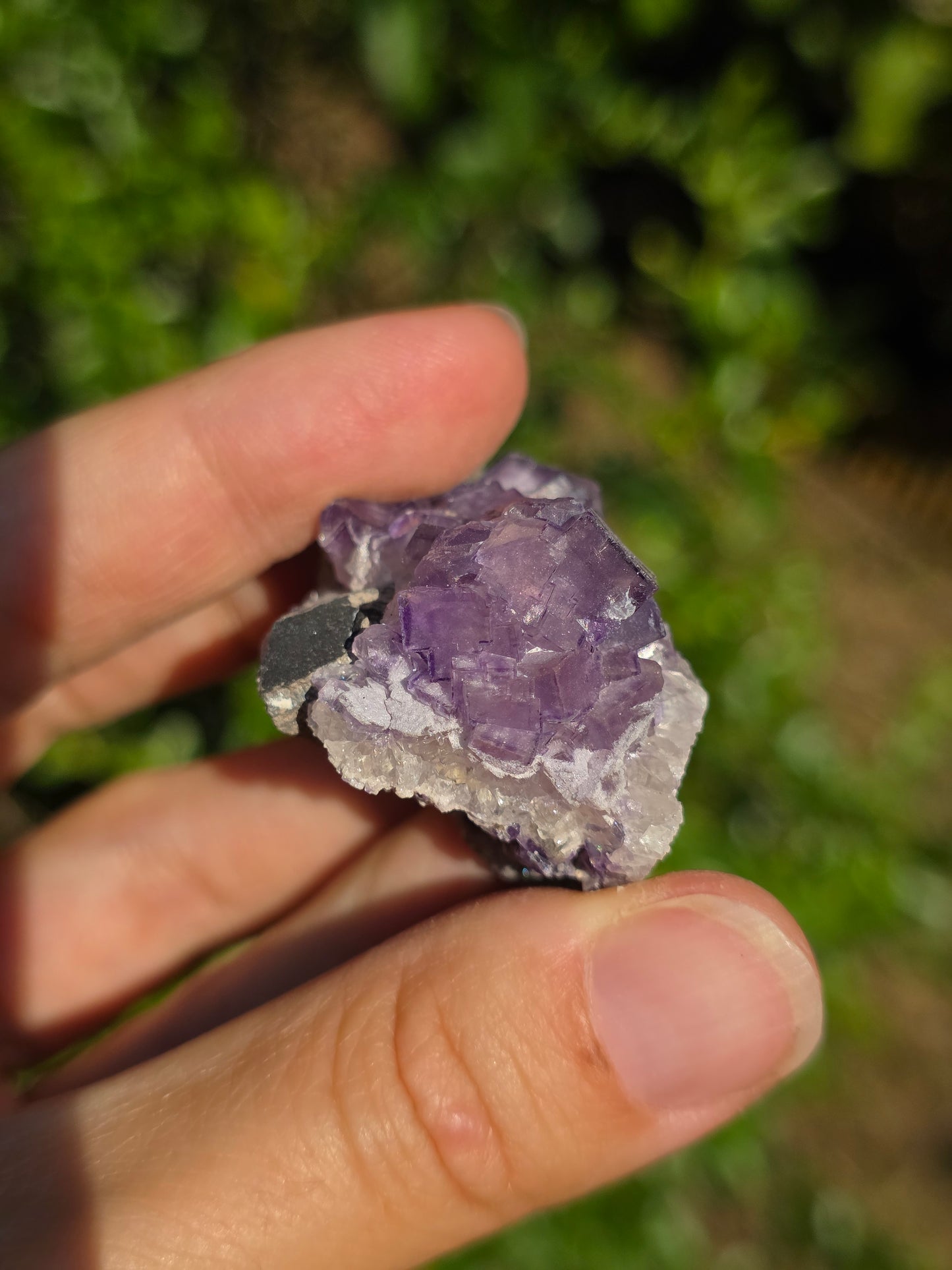 Fluorite des Pyrénées C