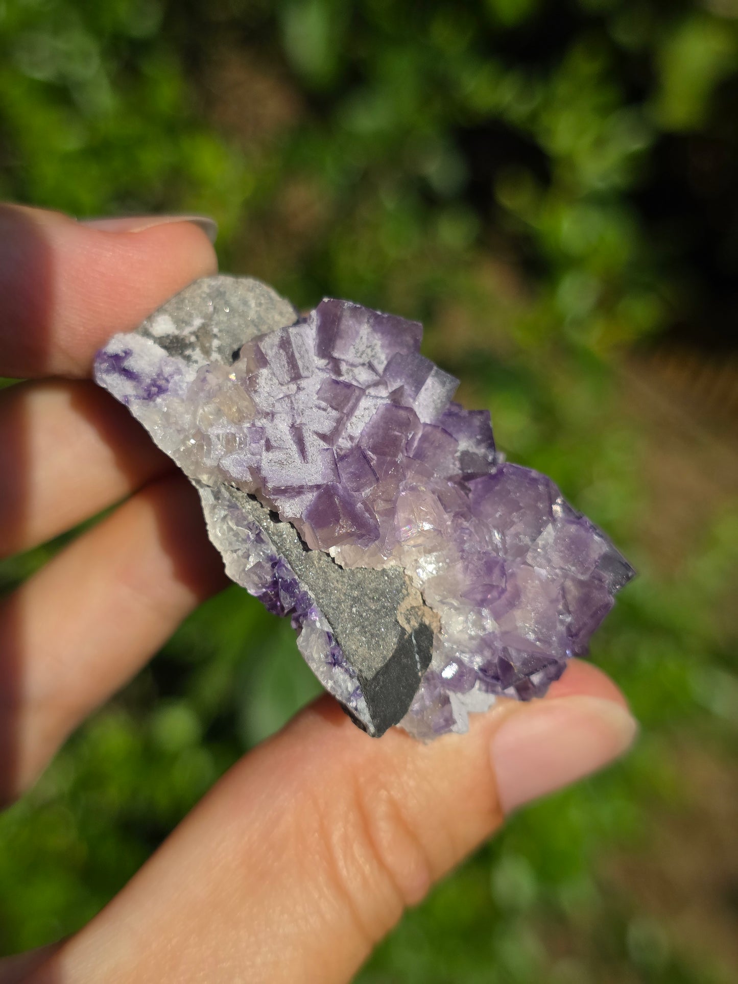 Fluorite des Pyrénées C