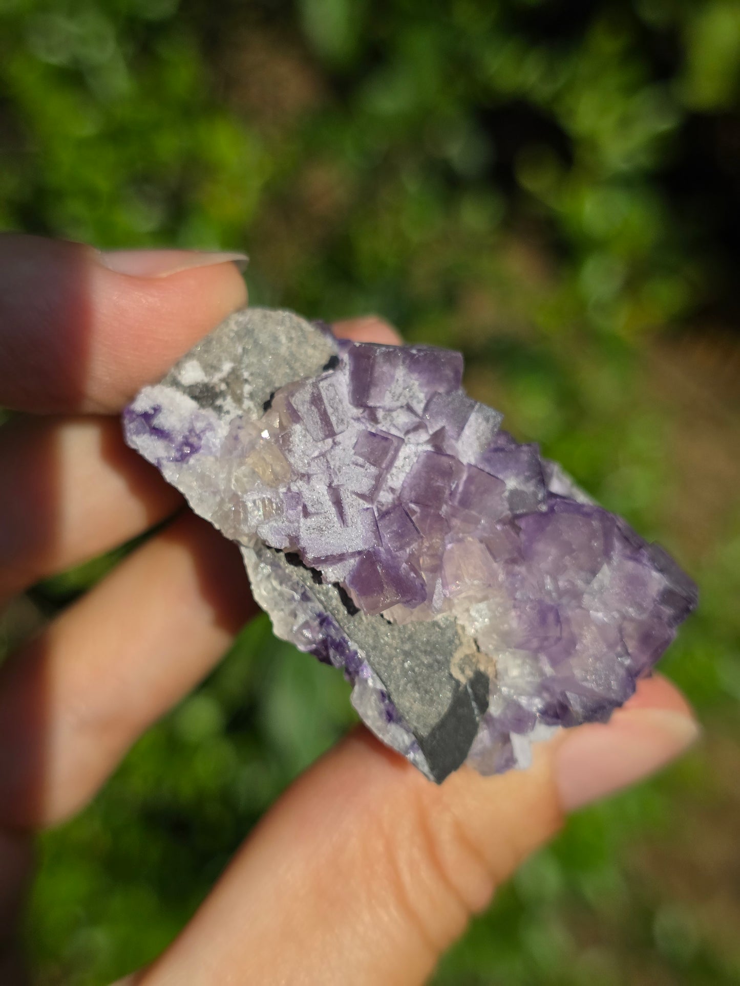 Fluorite des Pyrénées C