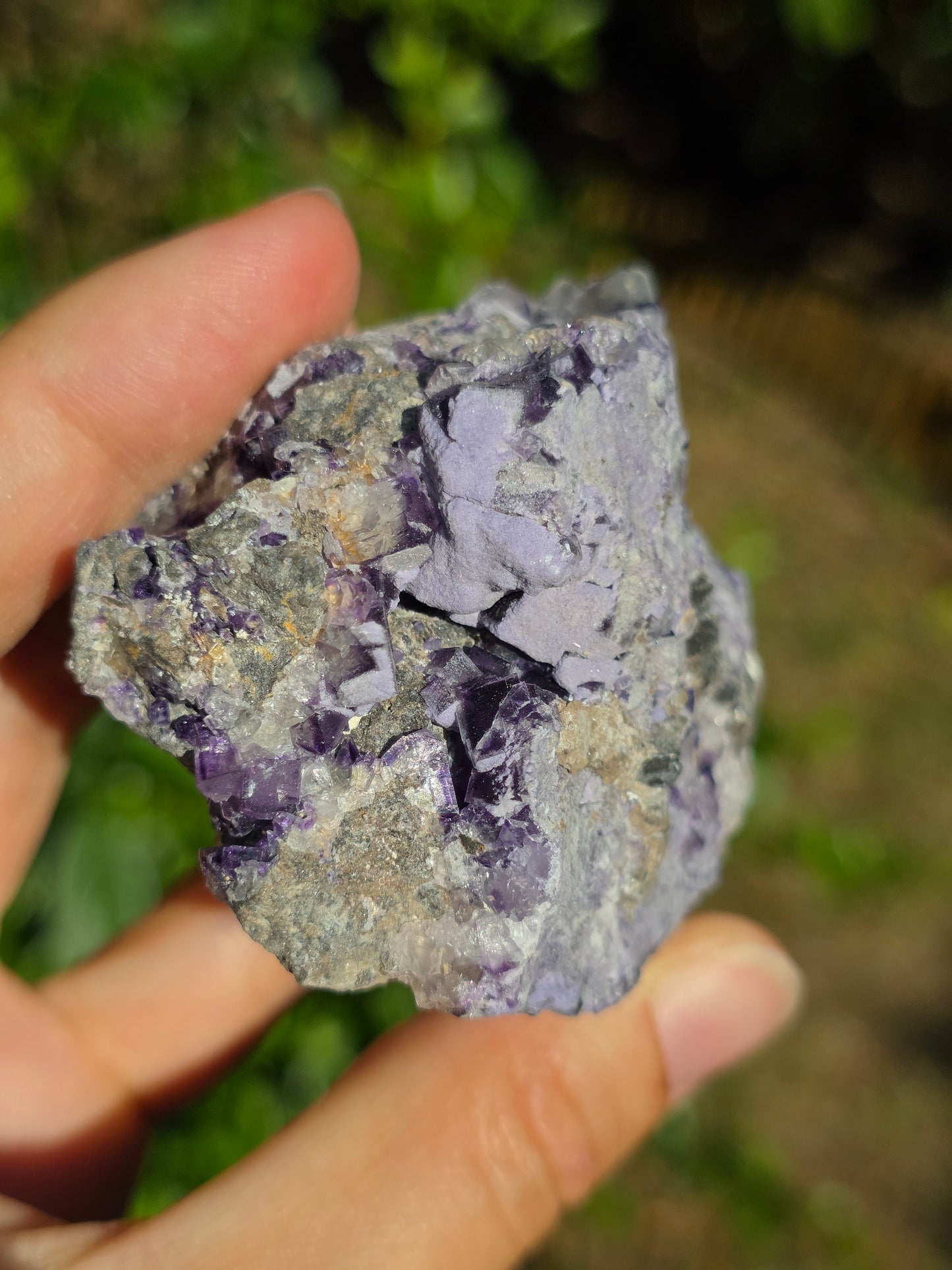 Fluorite des Pyrénées D